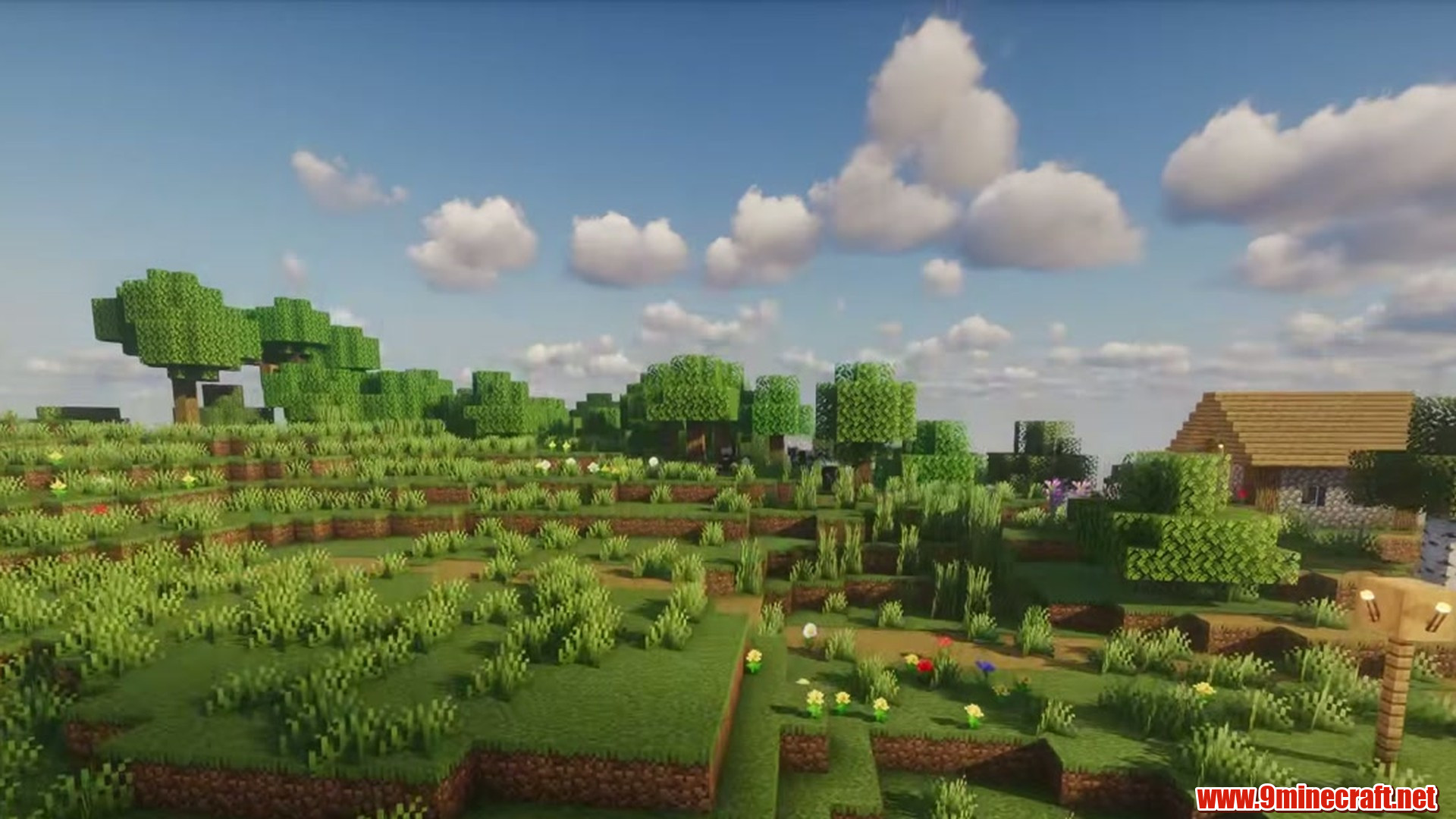 Perfect Flat Seed 4 View 2