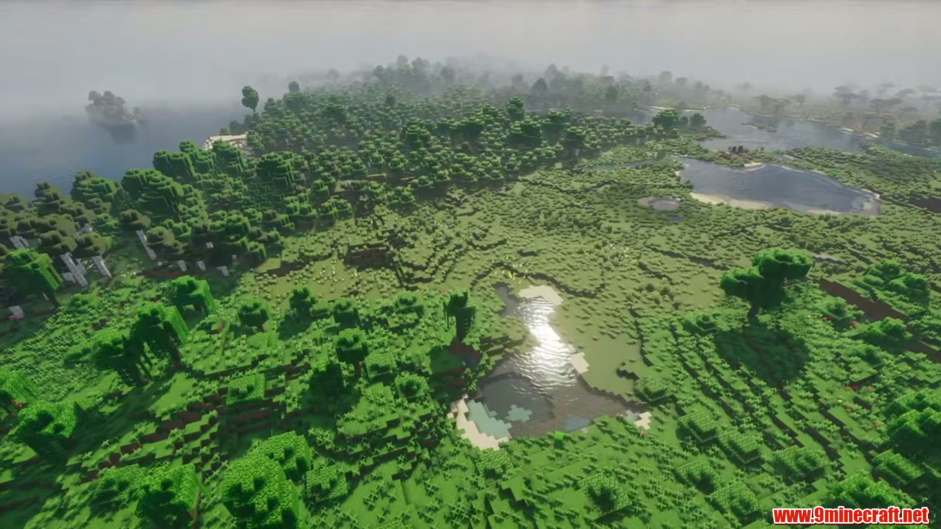 Perfect Flat Seed 5 View 2