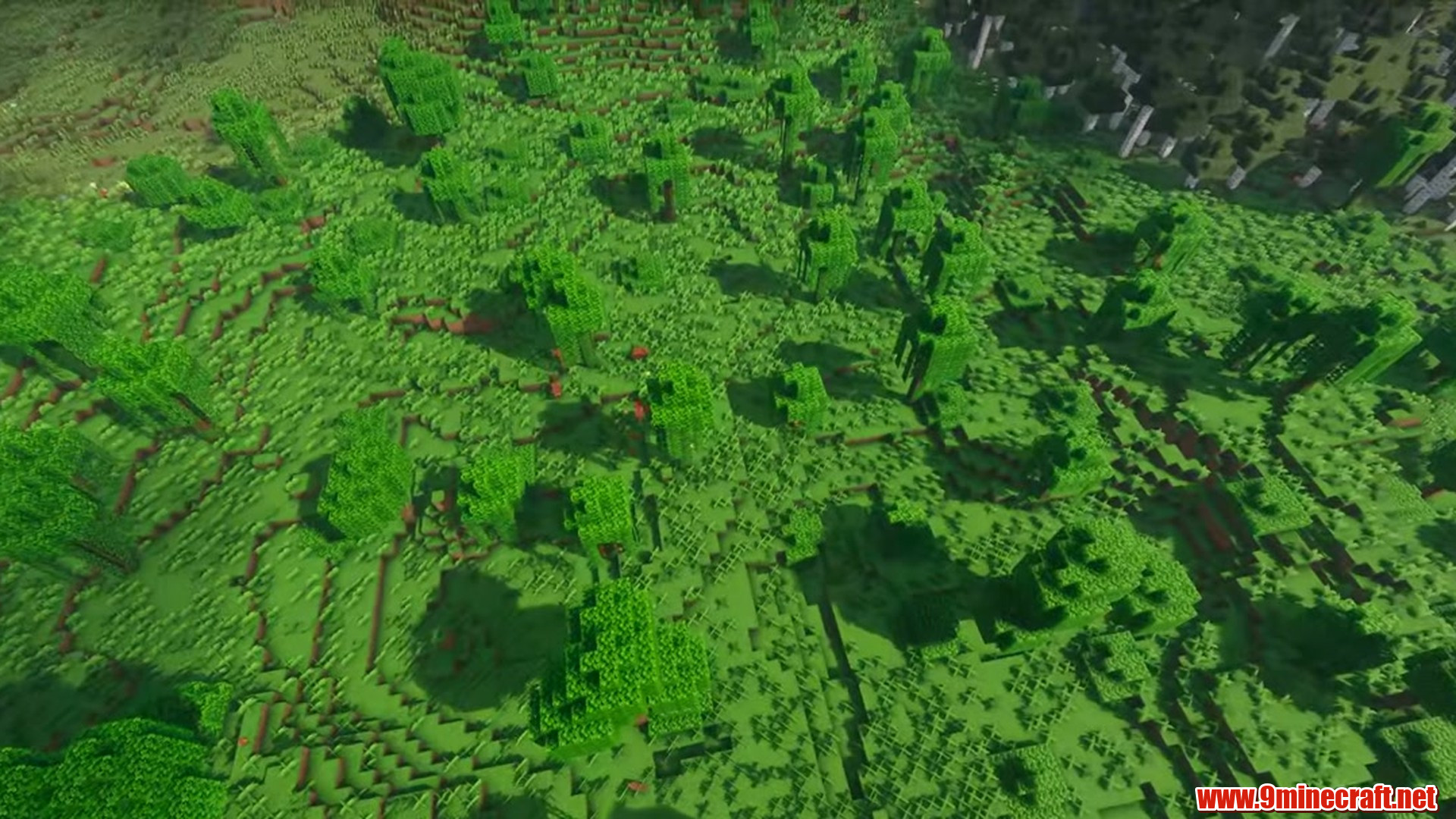 Perfect Flat Seed 5 View 3