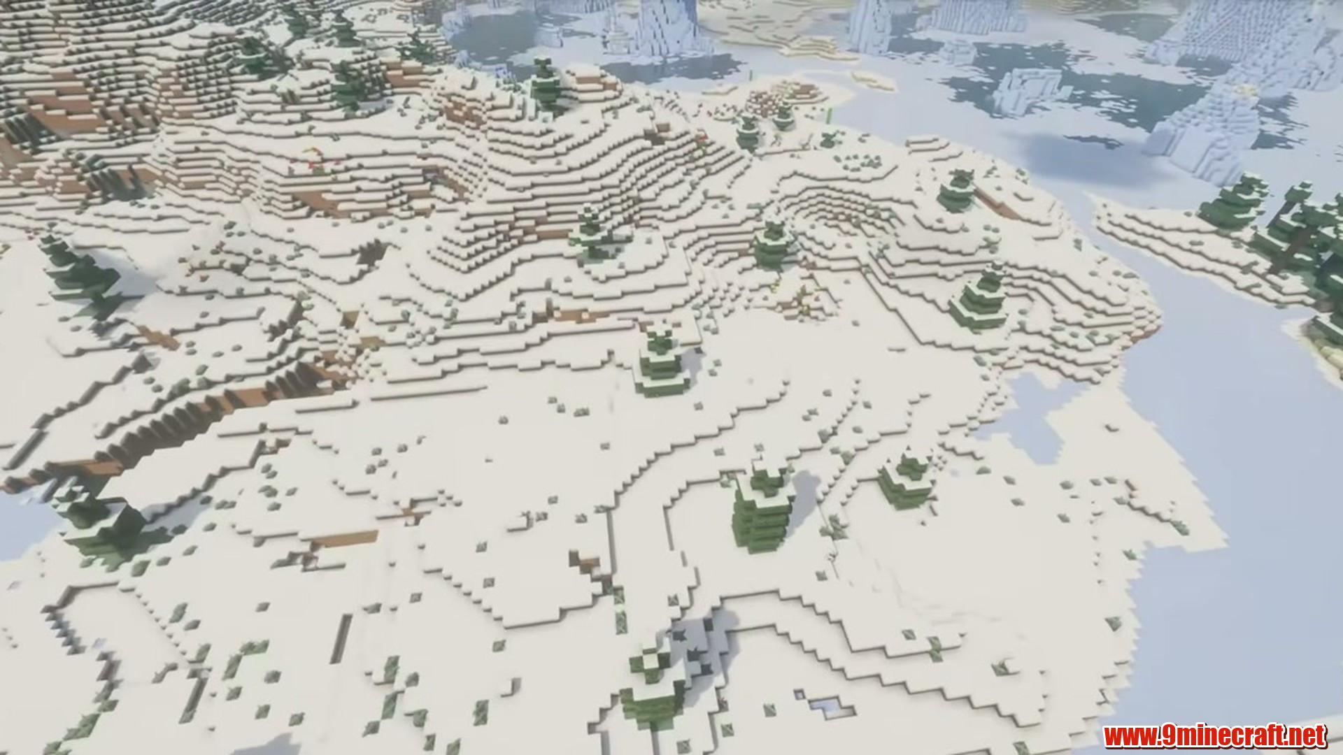 Perfect Flat Seed 6 View 1