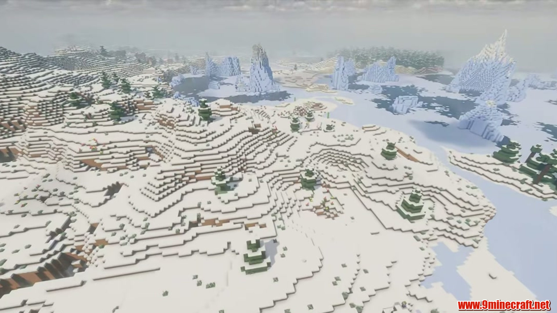 Perfect Flat Seed 6 View 2