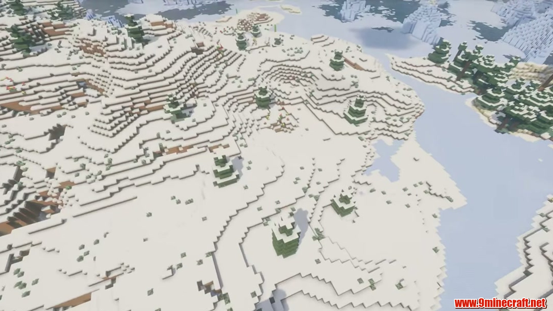 Perfect Flat Seed 6 View 3