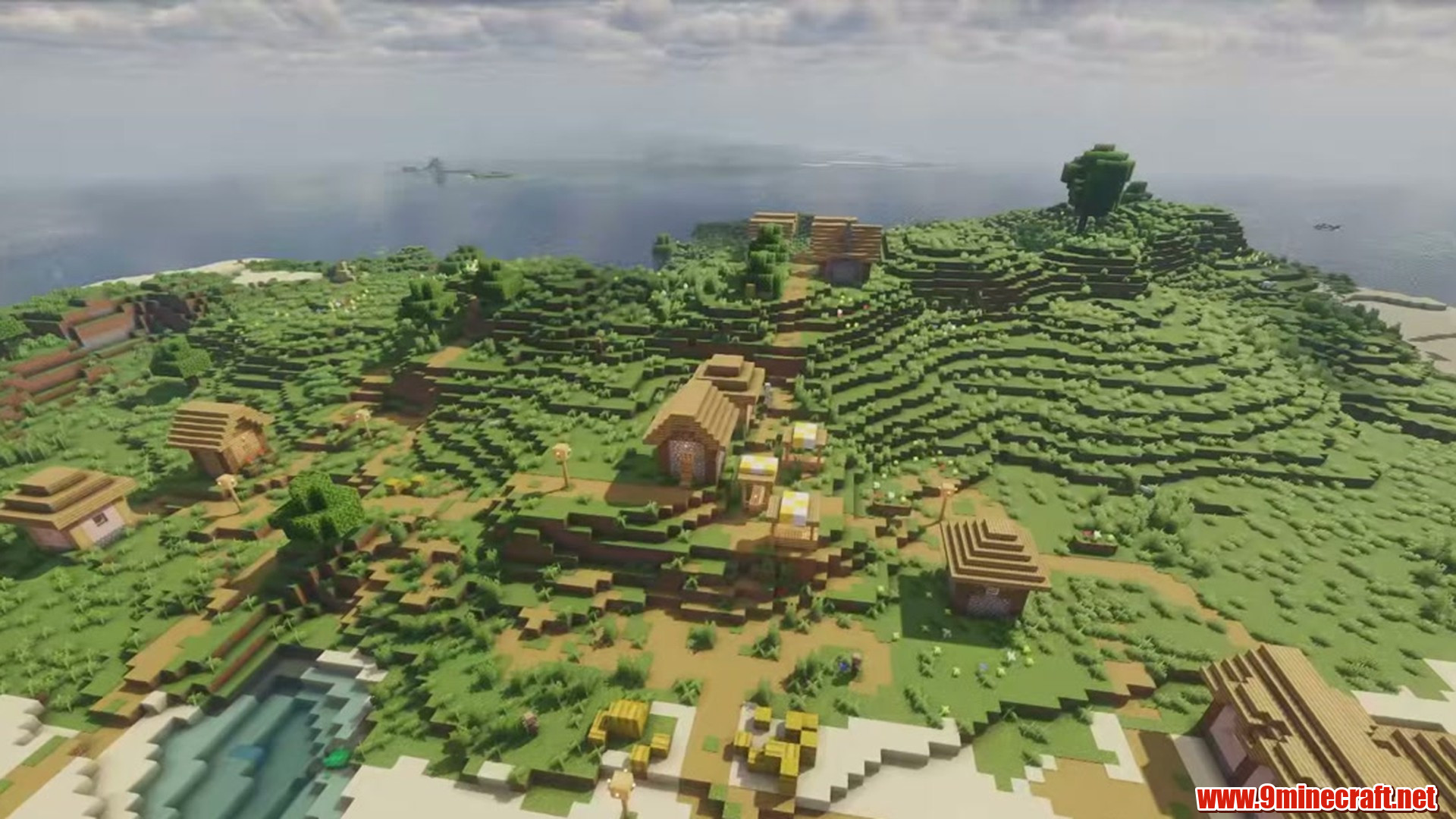 Perfect Flat Seed 7 View 1