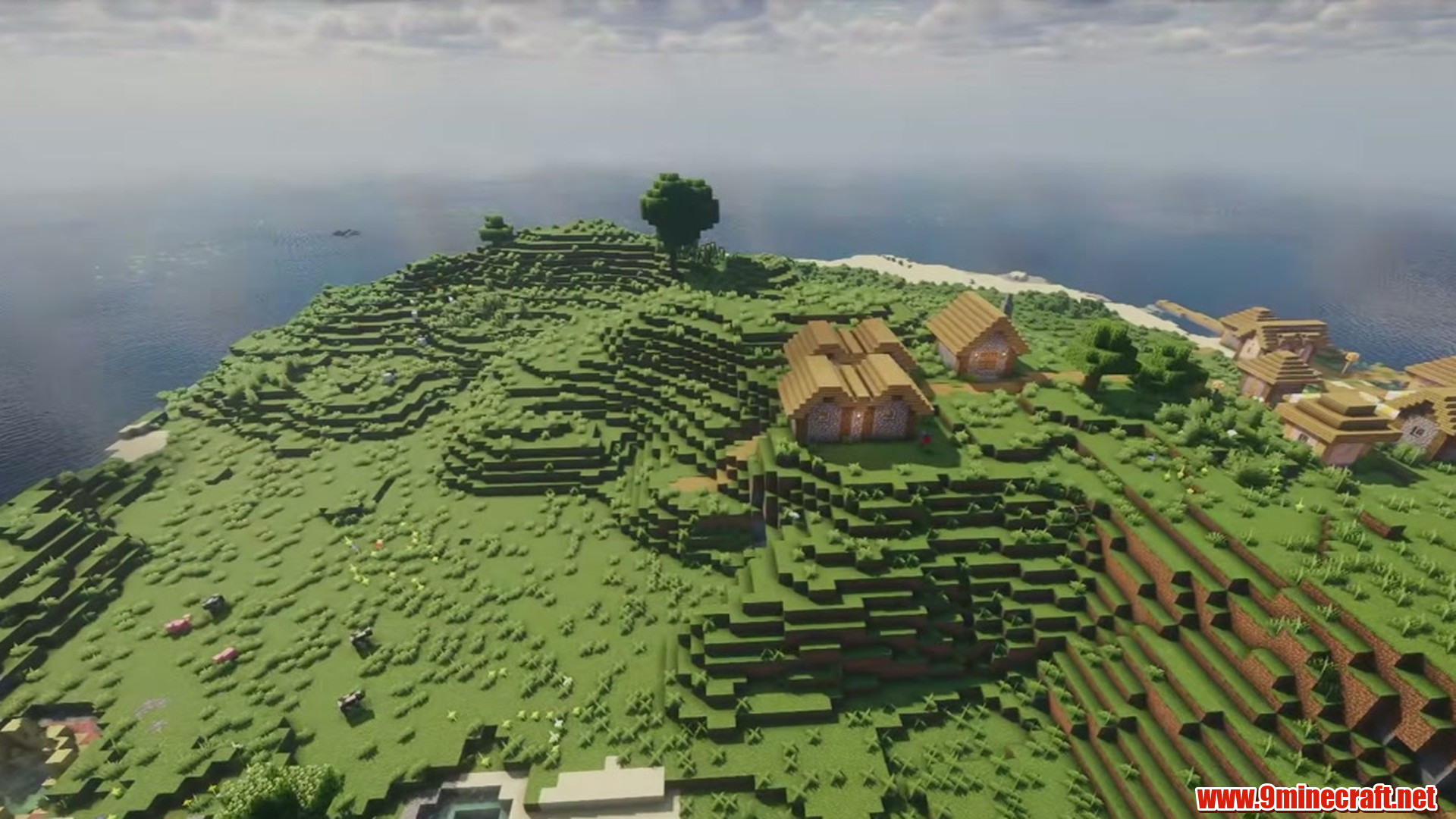 Perfect Flat Seed 7 View 2