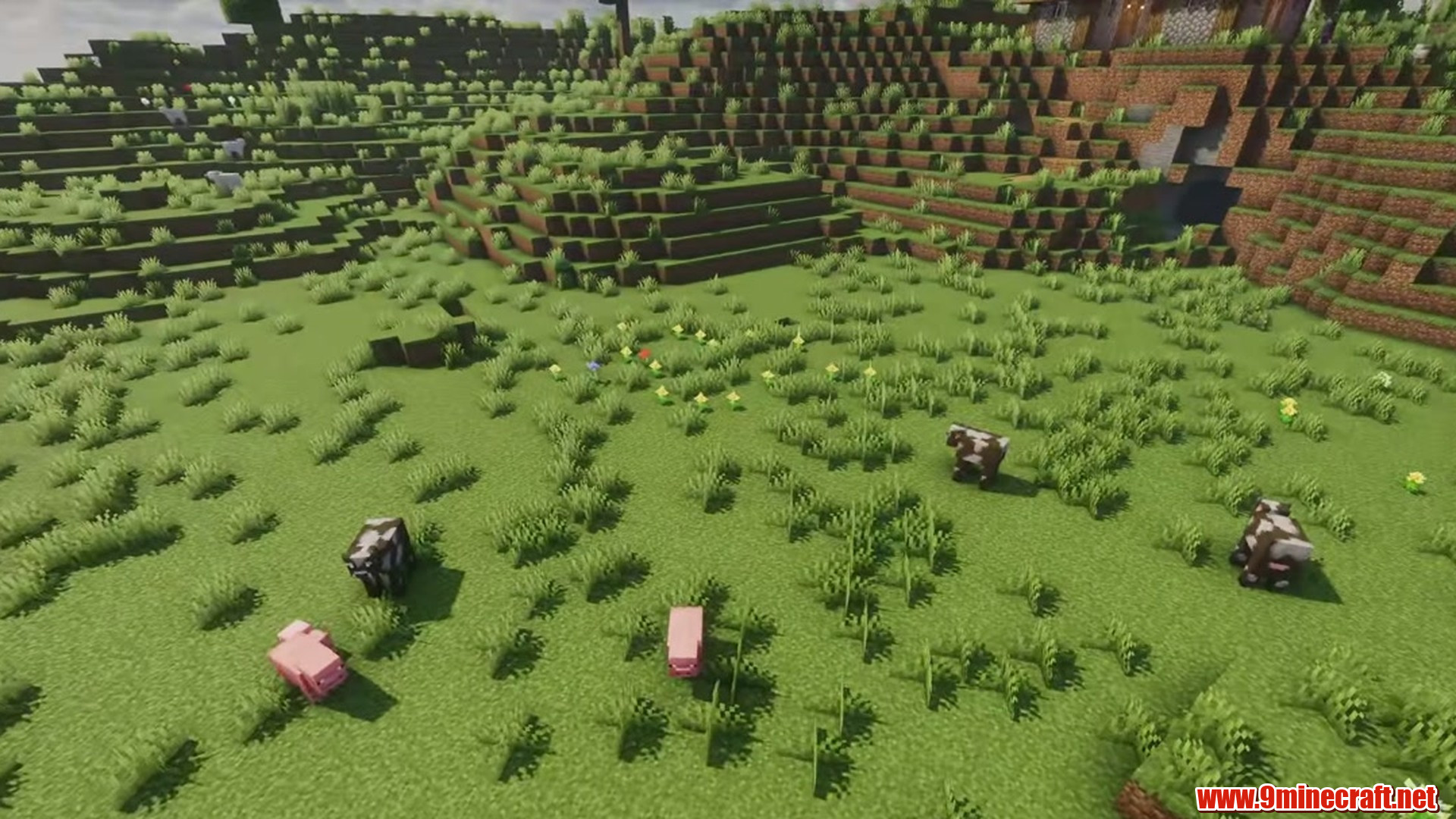 Perfect Flat Seed 7 View 3