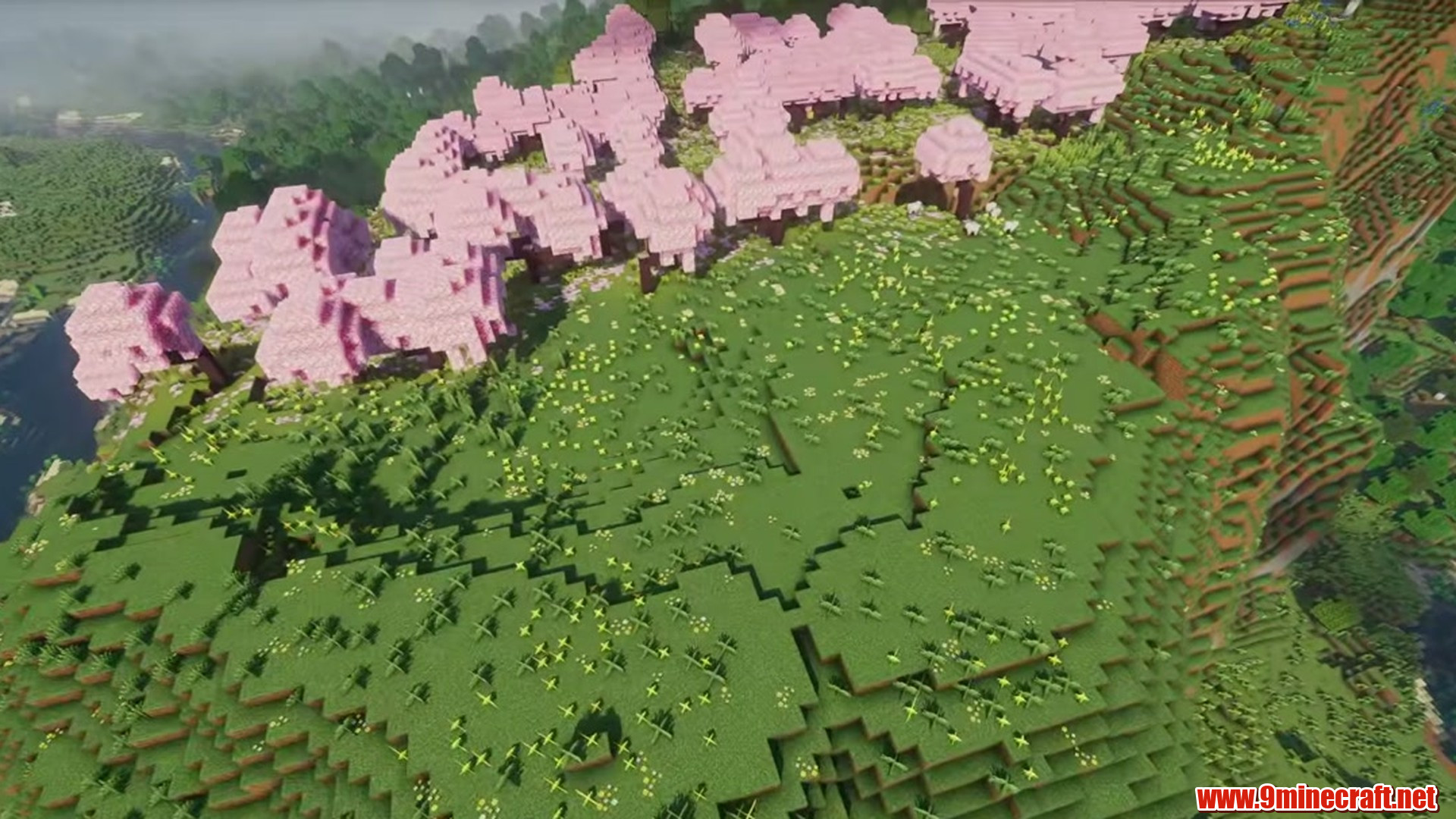 Perfect Flat Seed 8 View 3