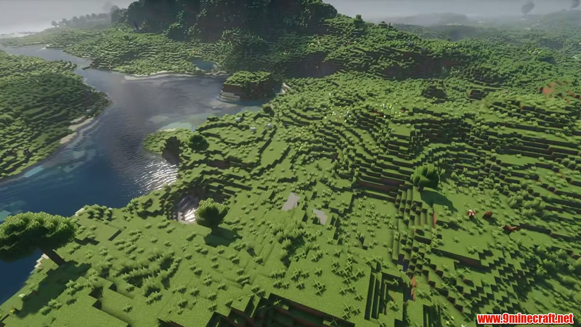 Perfect Flat Seed 10 View 1
