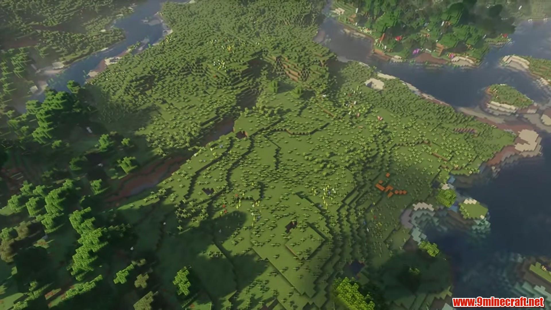 Perfect Flat Seed 11 View 1