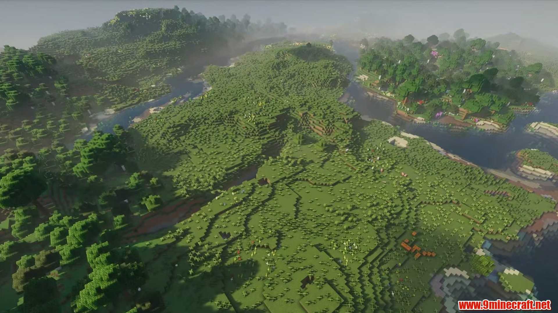 Perfect Flat Seed 11 View 2