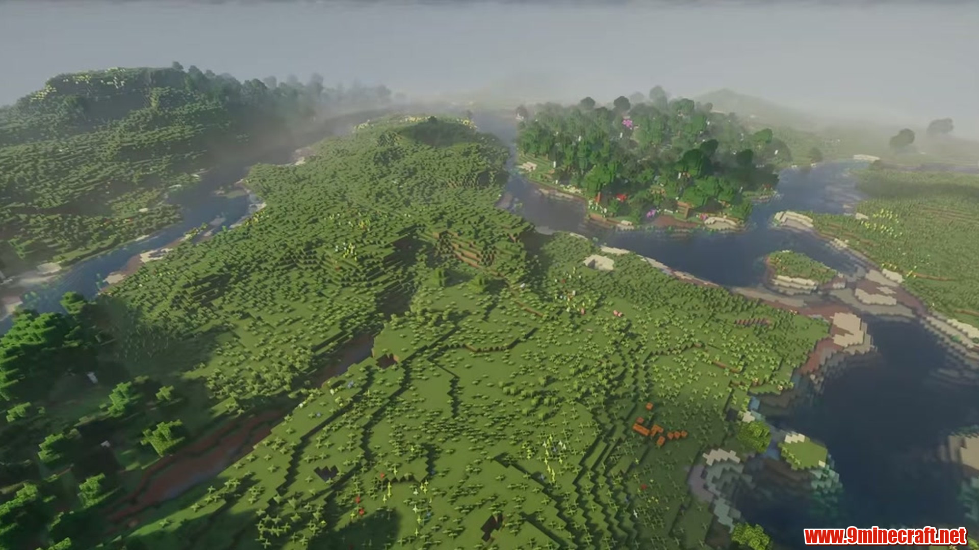Perfect Flat Seed 11 View 3