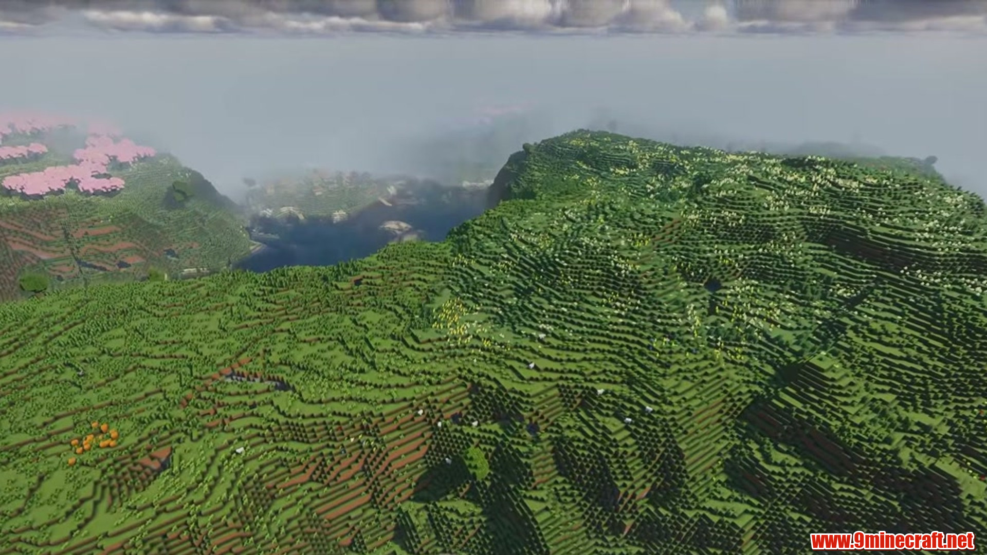Perfect Flat Seed 12 View 2