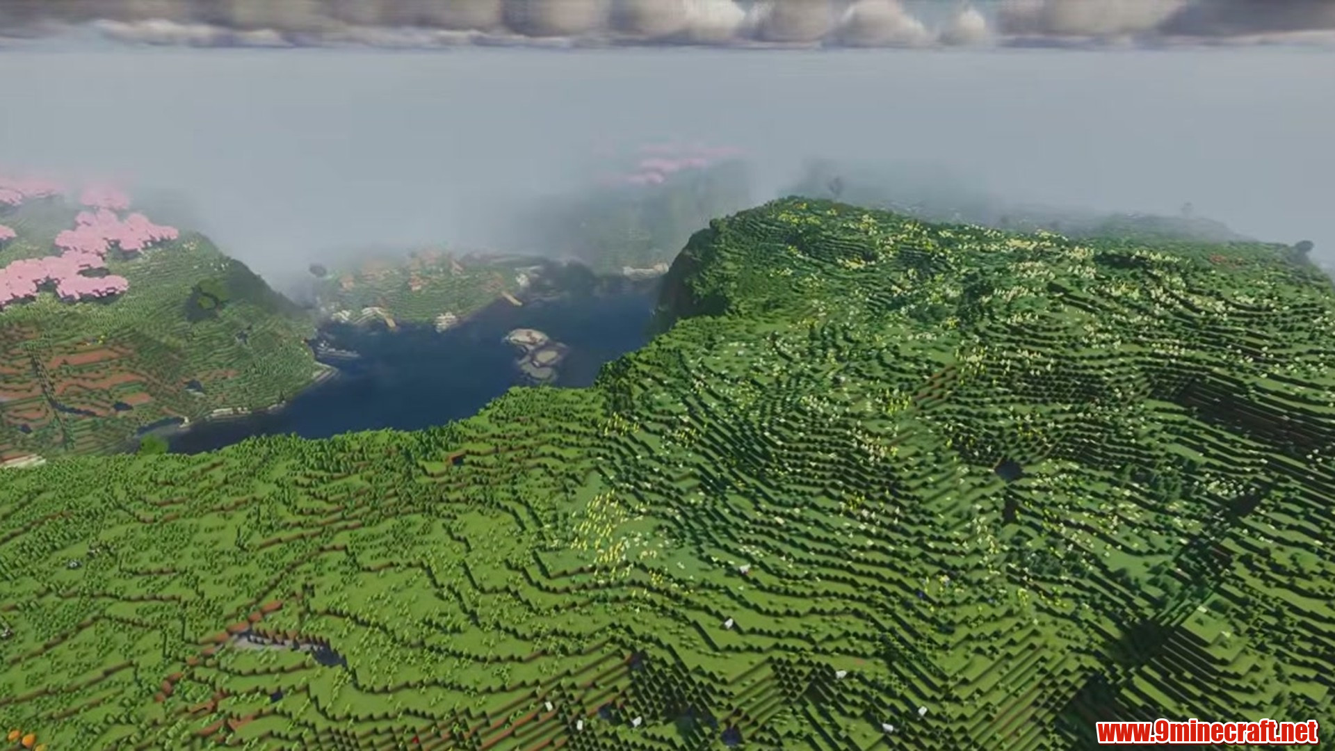 Perfect Flat Seed 12 View 3