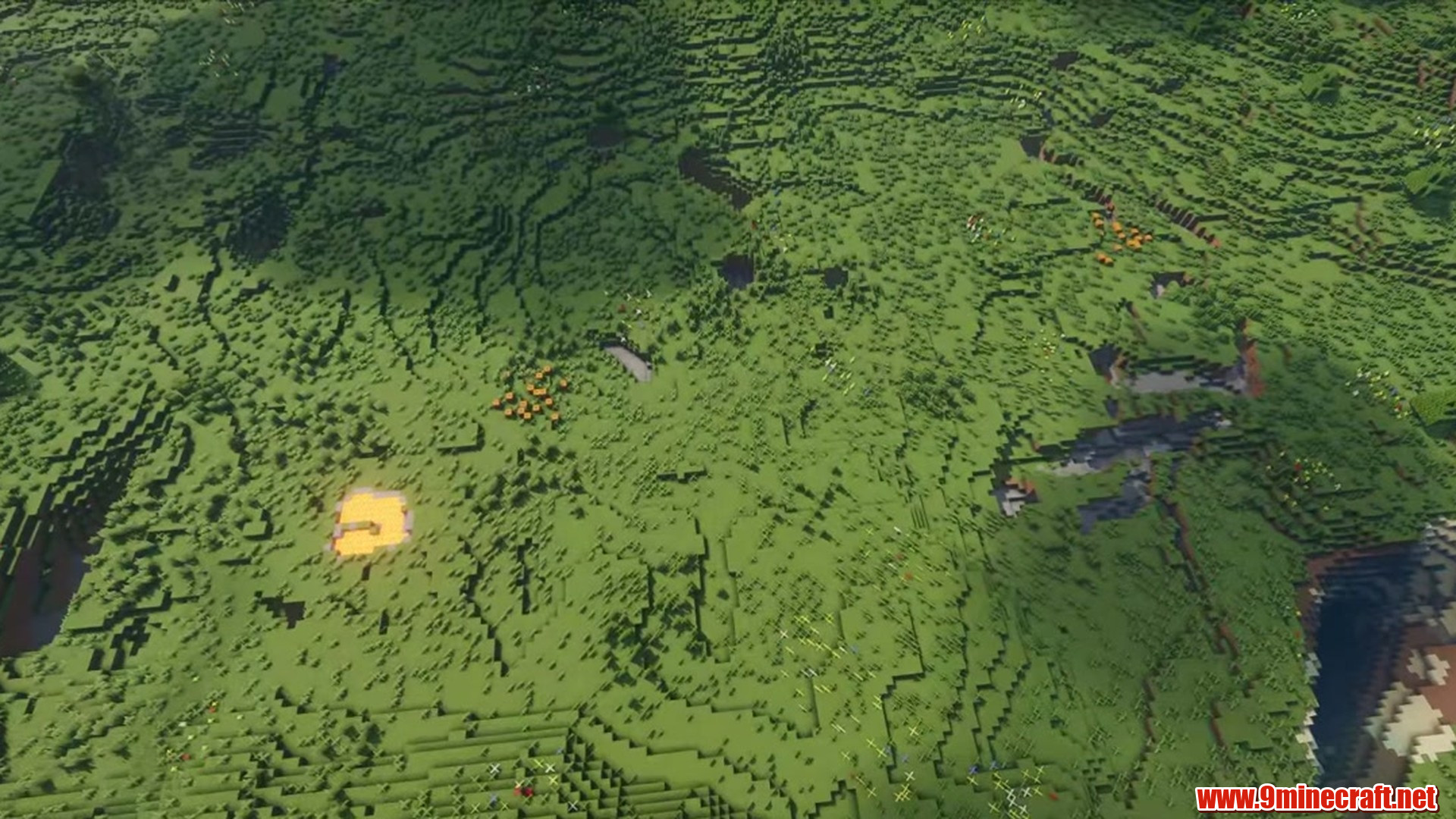 Perfect Flat Seed 13 View 1