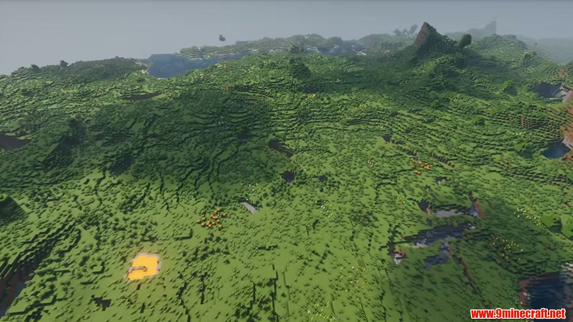 Perfect Flat Seed 13 View 2