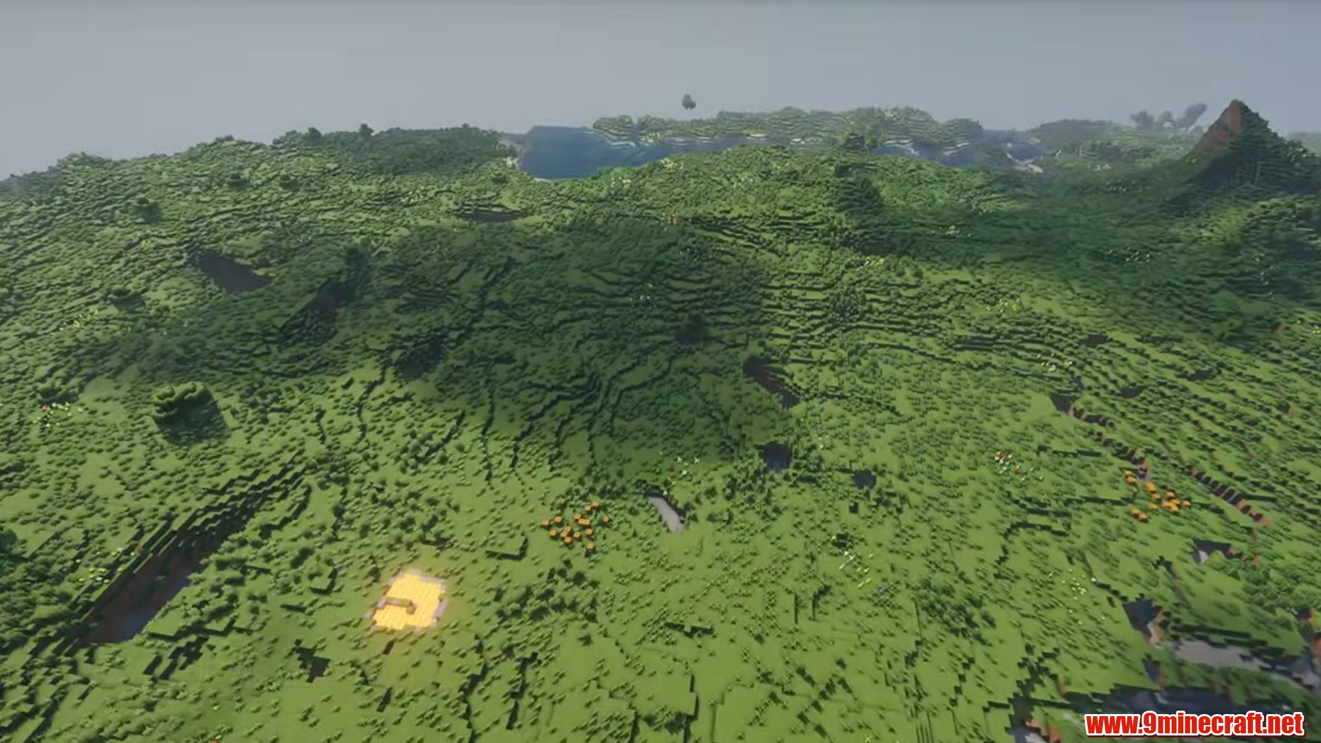 Perfect Flat Seed 13 View 3