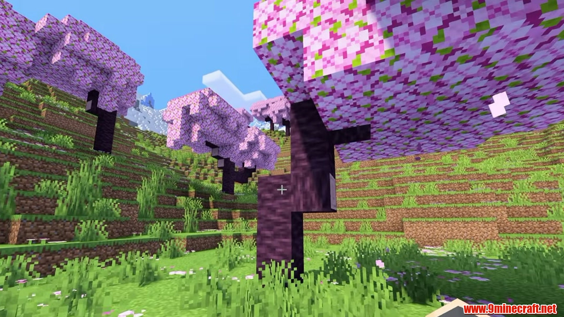 Dappled Cherry Mountain Ring - Minecraft seed 7056296191159444483