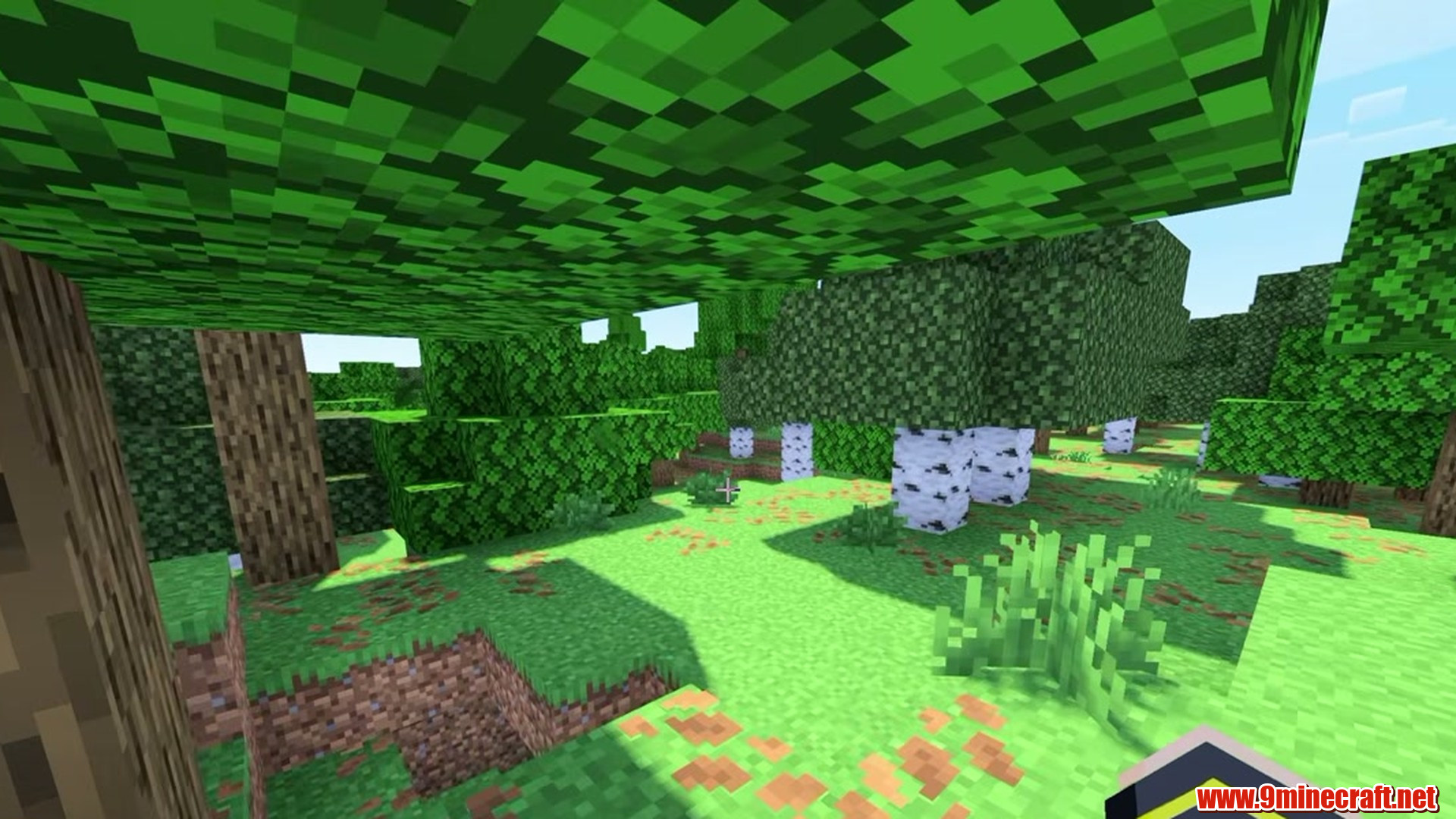 Spawn In The Middle Of The Ocean - Minecraft seed 9257064151