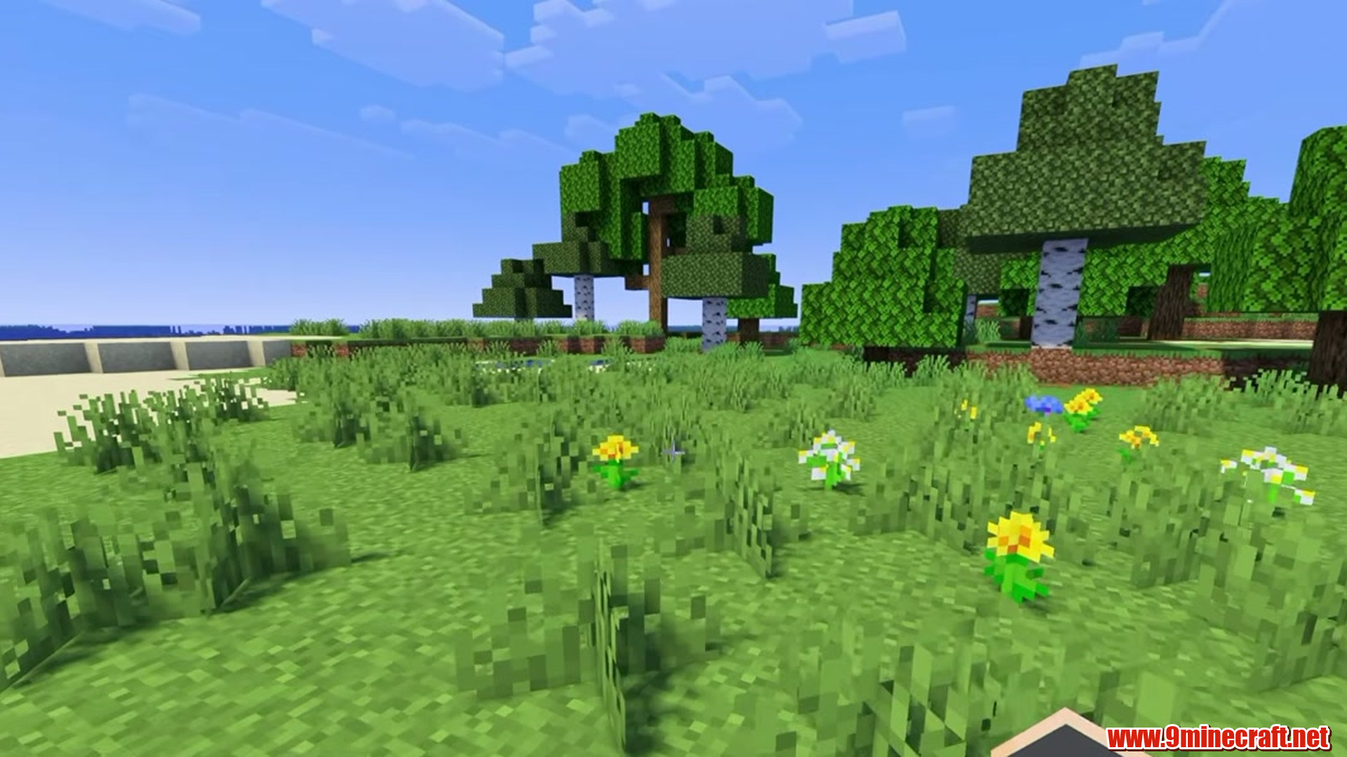 Small Forest Island - Minecraft seed 9032813477621696566