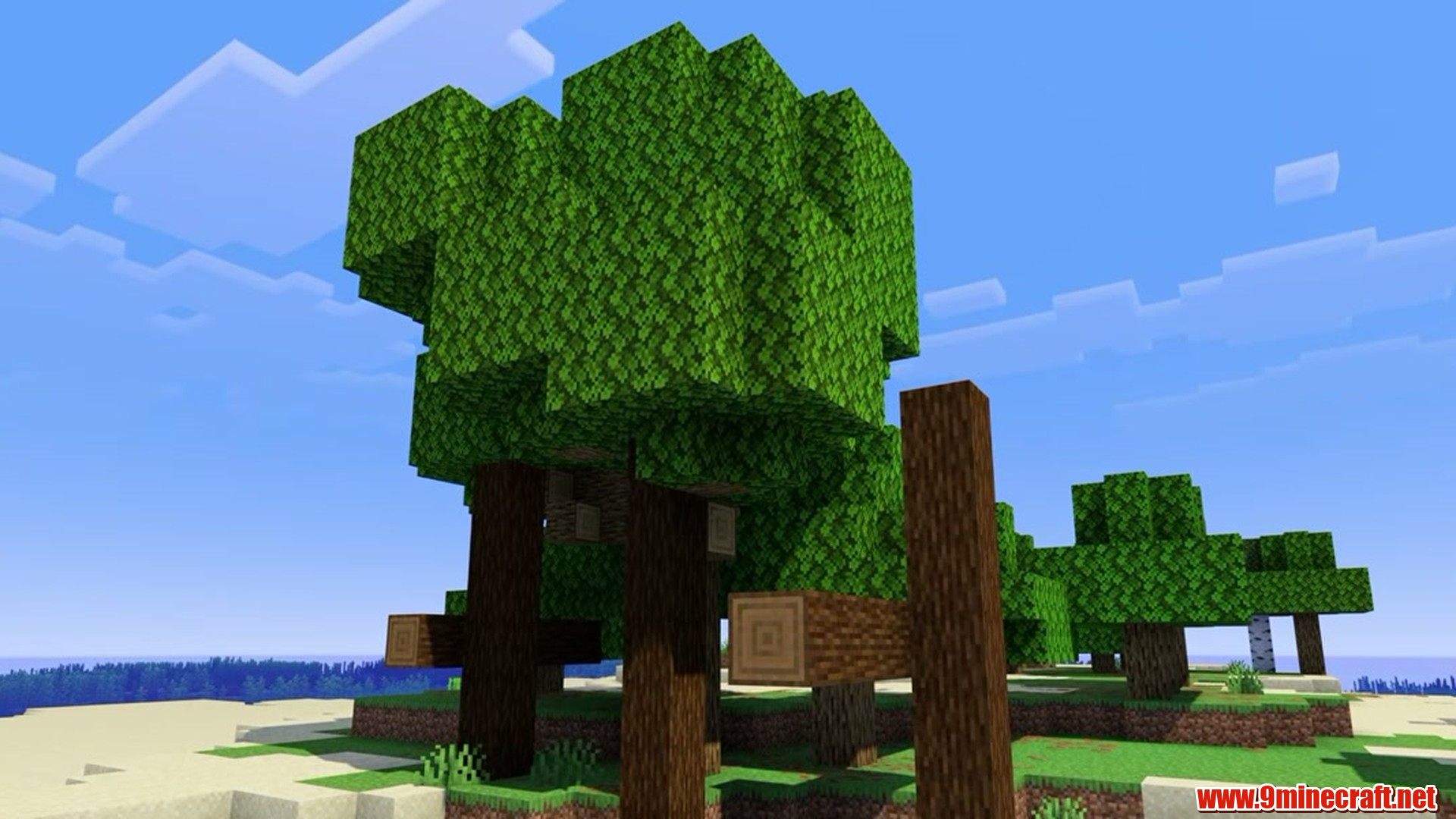 Shipwreck Tree Island - Minecraft seed 8199929021534853323