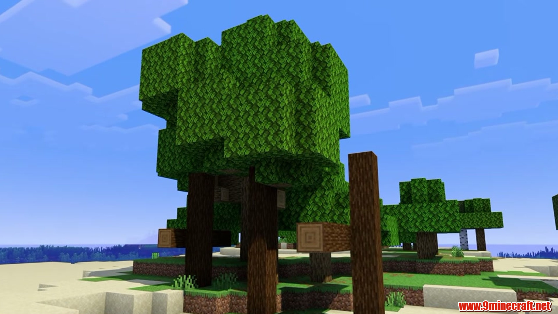 Shipwreck Tree Island - Minecraft seed 8199929021534853323