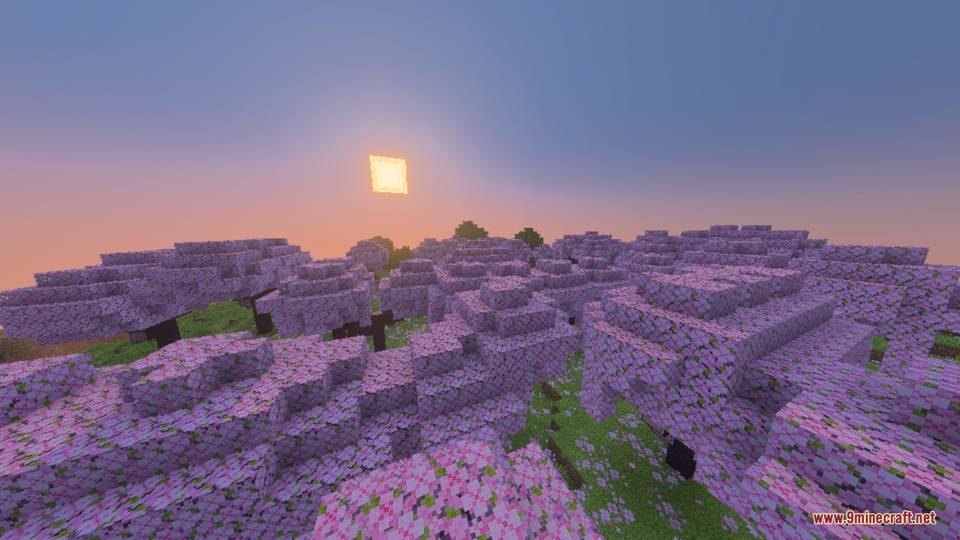 ACD Shaders - New Cinematic Illumination Shader Screenshot 2 Cherry blossom grove at sunset with a glowing sun and soft shadows