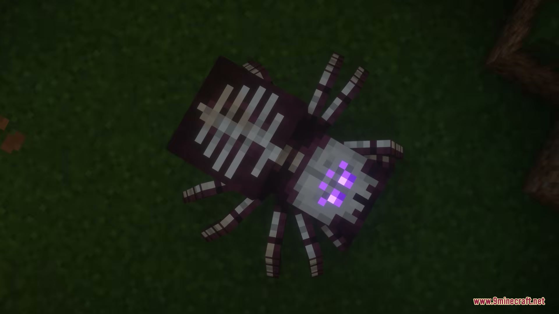 AL's Spiders Revamped X Fresh Animations Resource Pack Screenshot 5 A top down view of a bone spider with purple glowing eyes