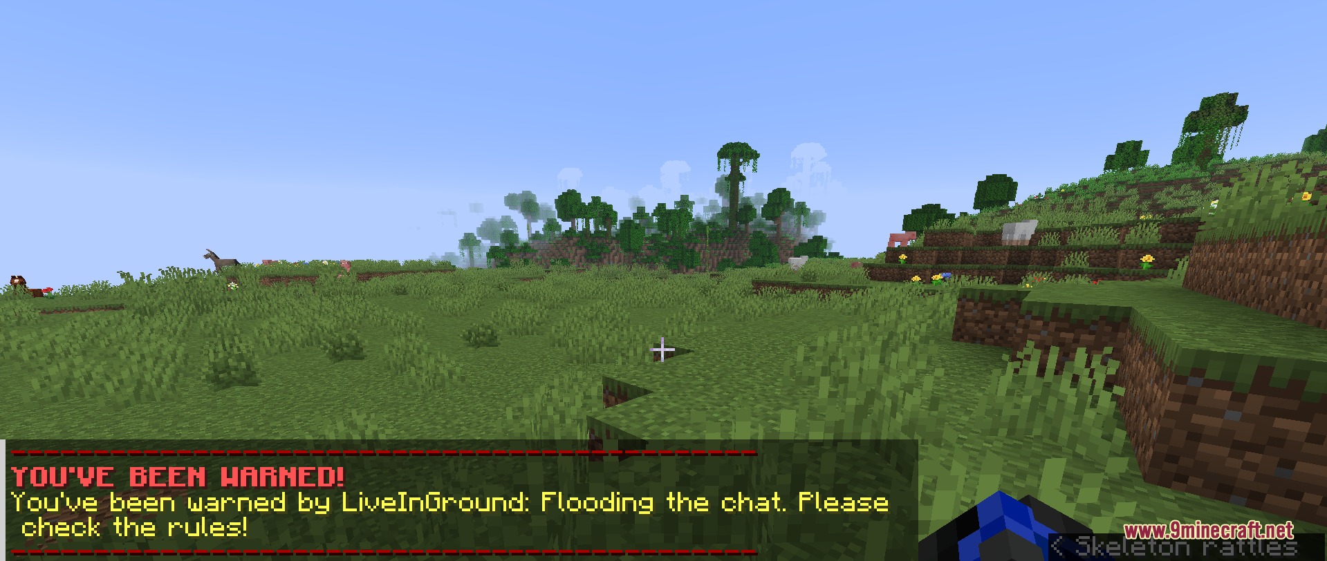 Admin tools display a warning message for a player flooding the chat