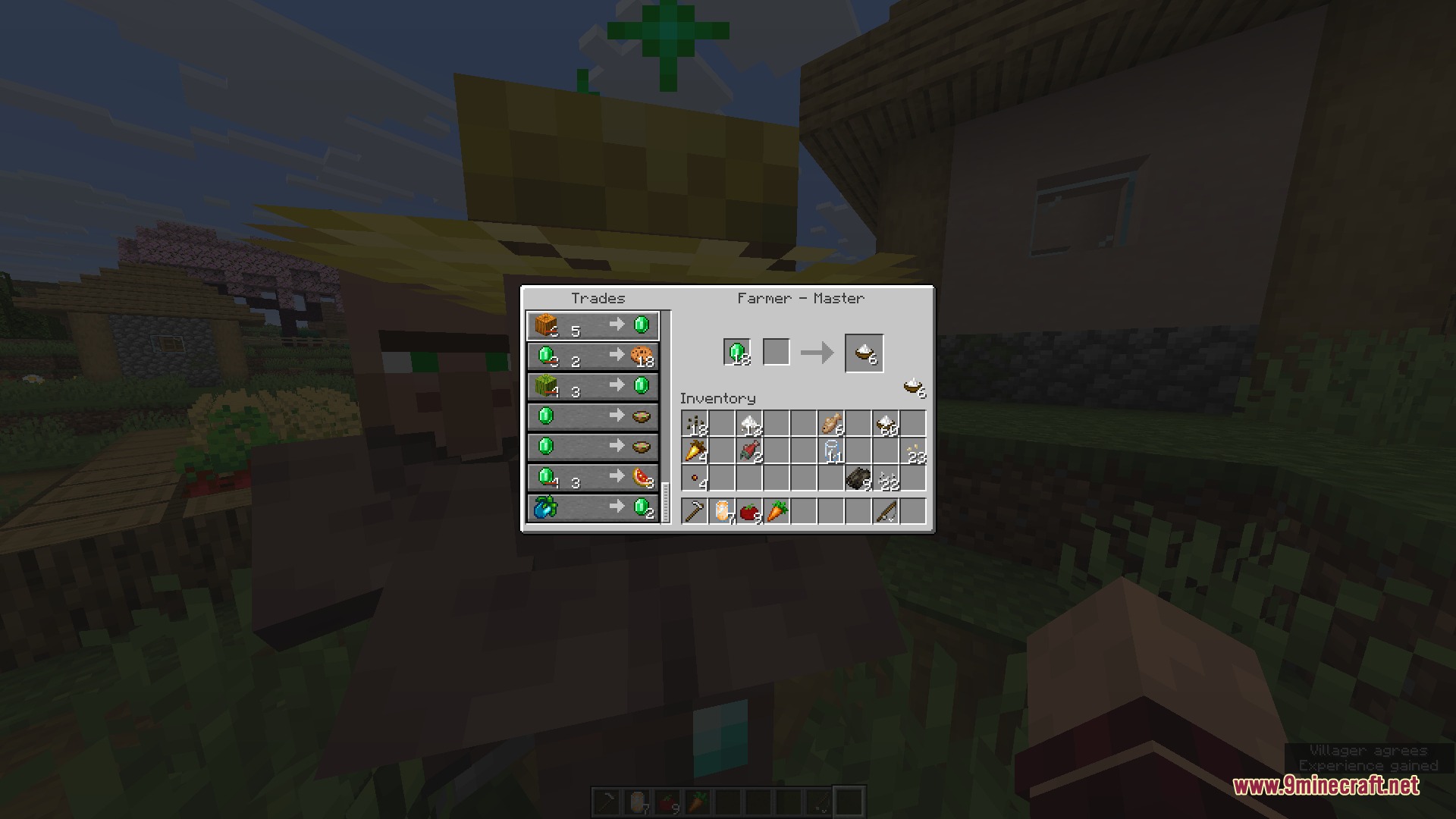 Trading emeralds for rice bowls from the Adventurers Cookbook Mod with villagers