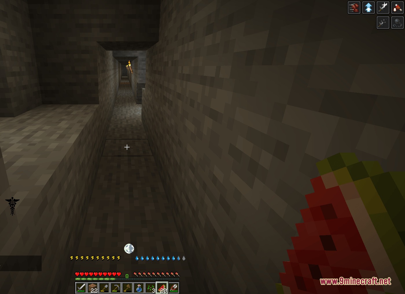 Alive Life & Death Mod Screenshot 1 Player holding a melon slice in a stone tunnel with disease status effects