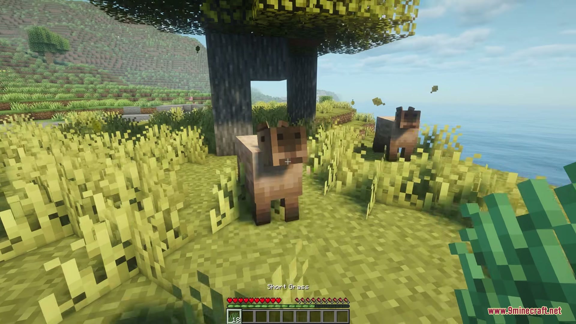 Two capybaras standing in the tall grass under a tree in Minecraft