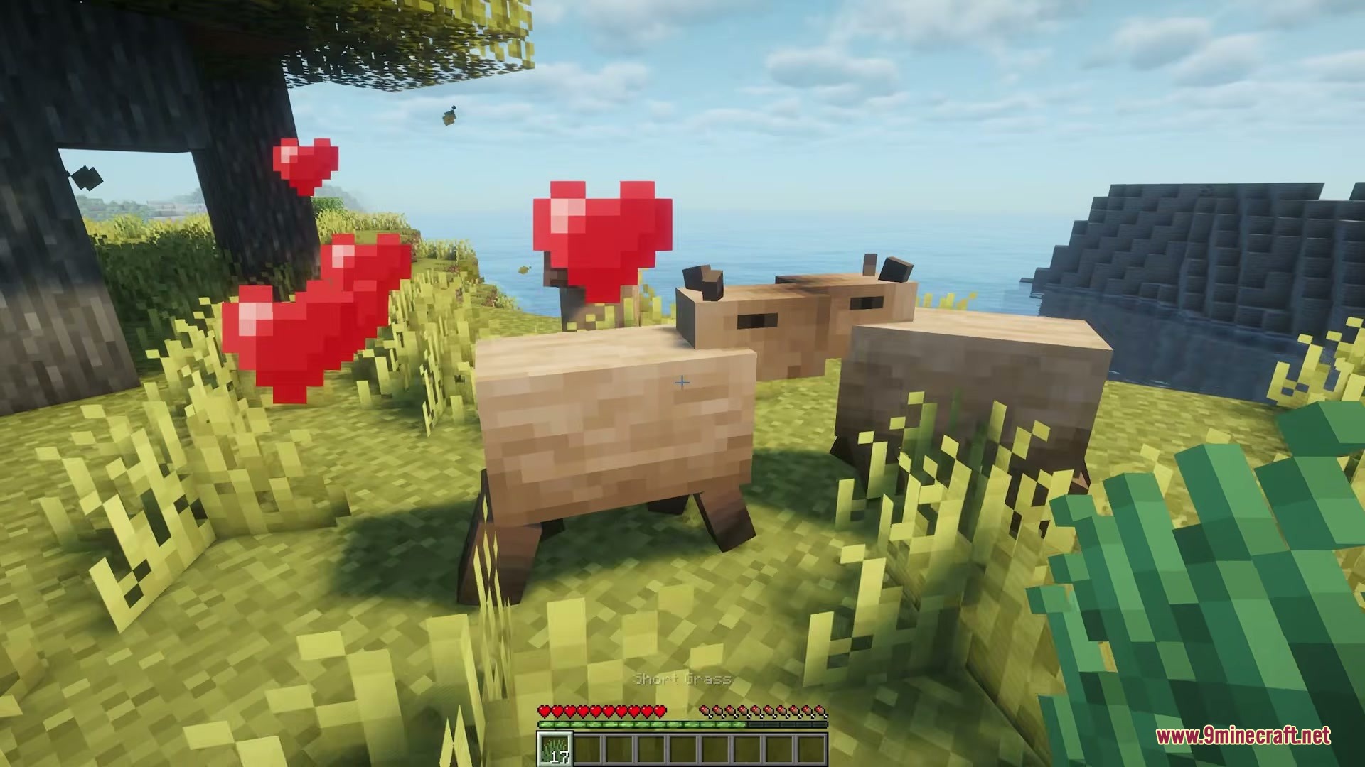 Two capybaras breeding with red heart particles in a sunny grassy field