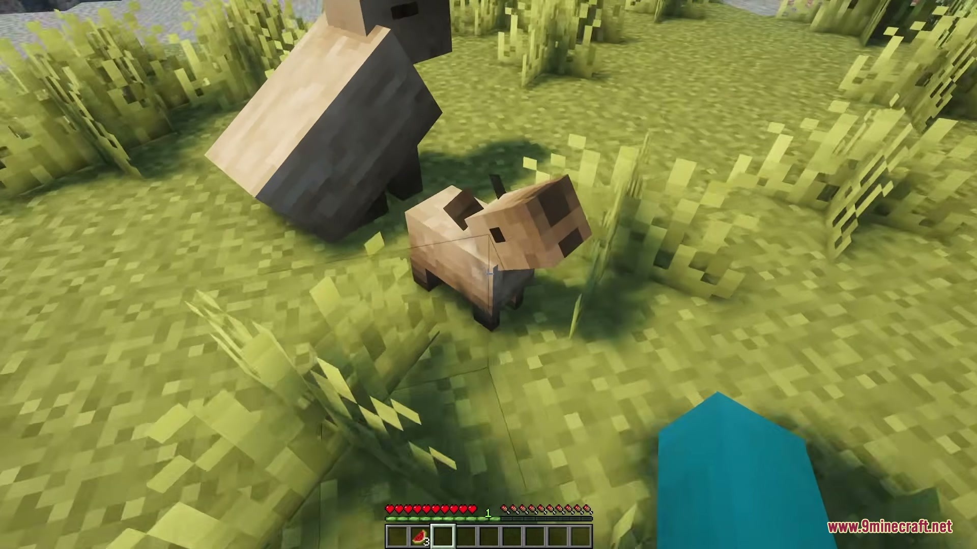 A small baby capybara standing on the grass in a Minecraft world