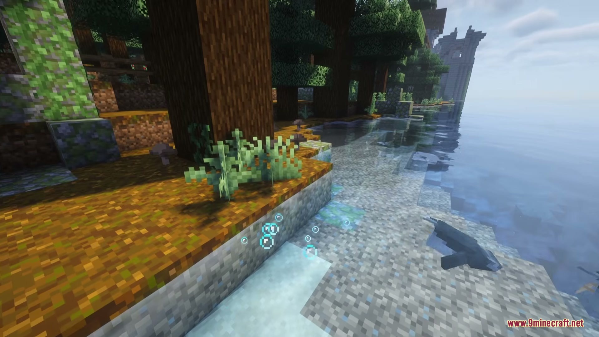 A penguin swimming in the water near a forest shoreline and tall trees