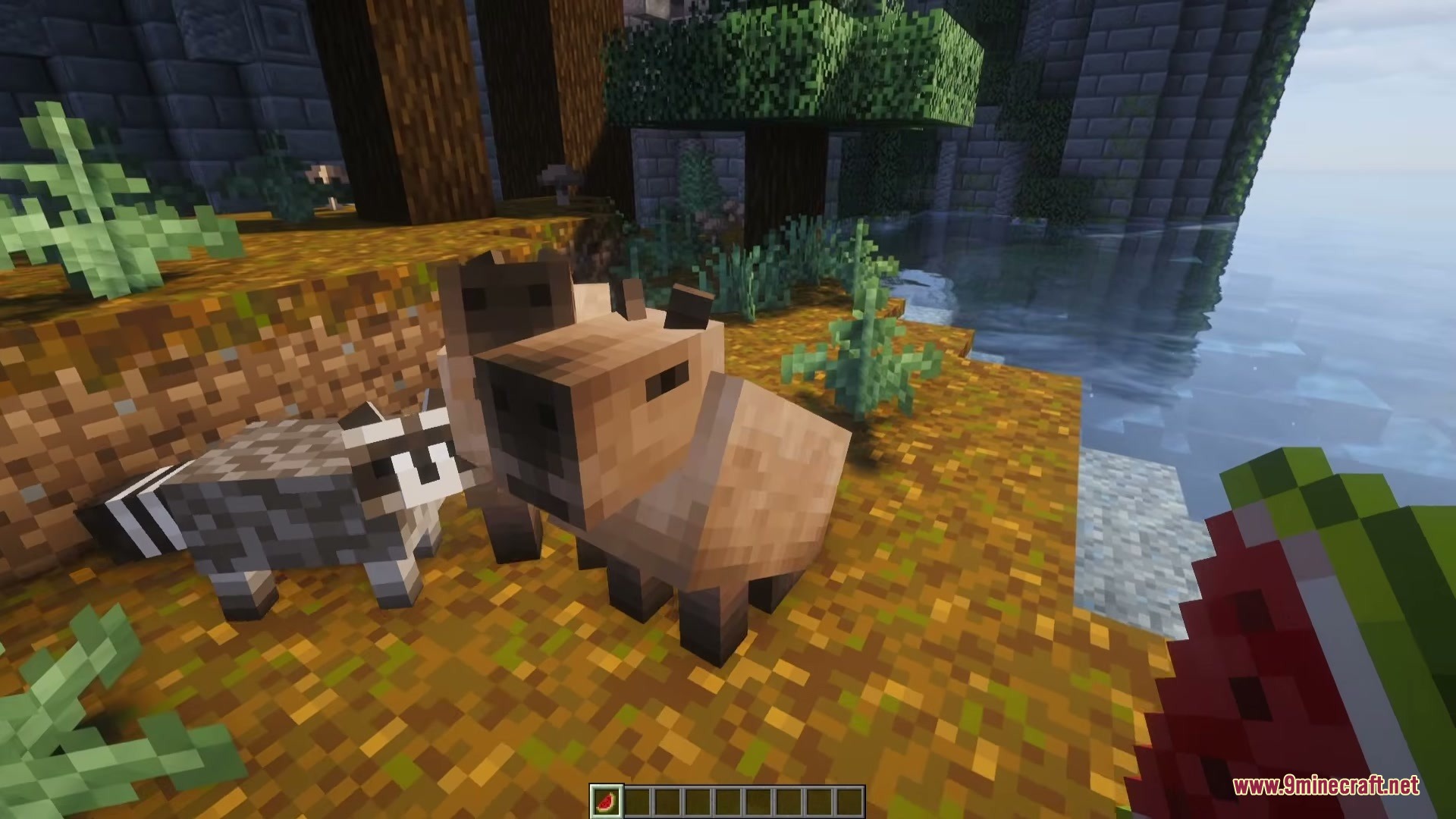 A player holds a melon slice near a capybara and a raccoon