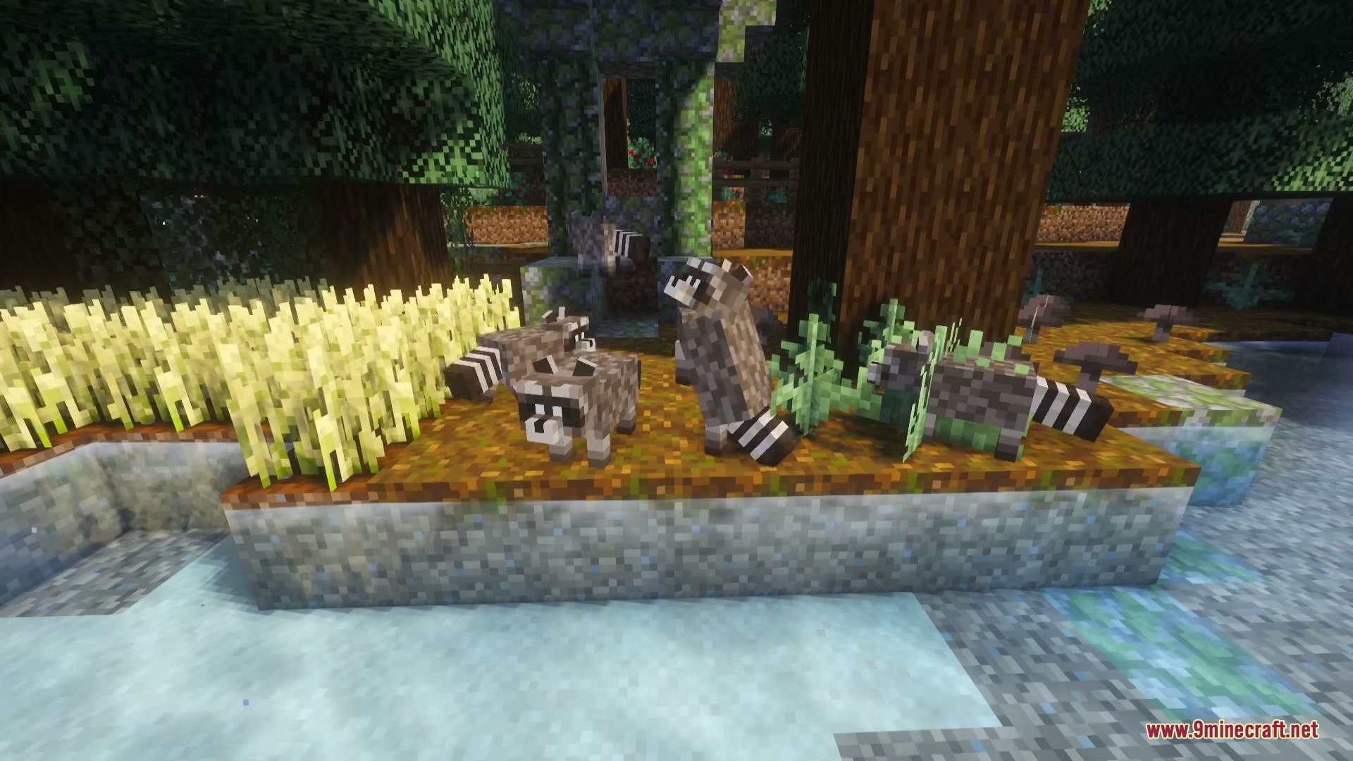 A group of raccoons standing on a grassy bank near a river