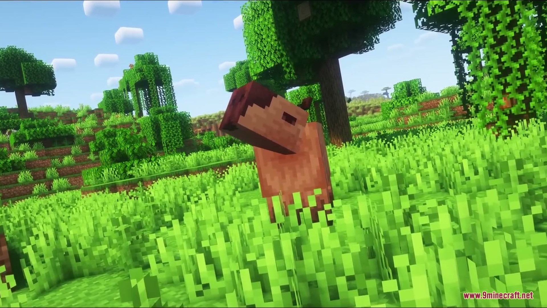 A prehistoric Josephoartigasia stands in the tall grass of a lush forest
