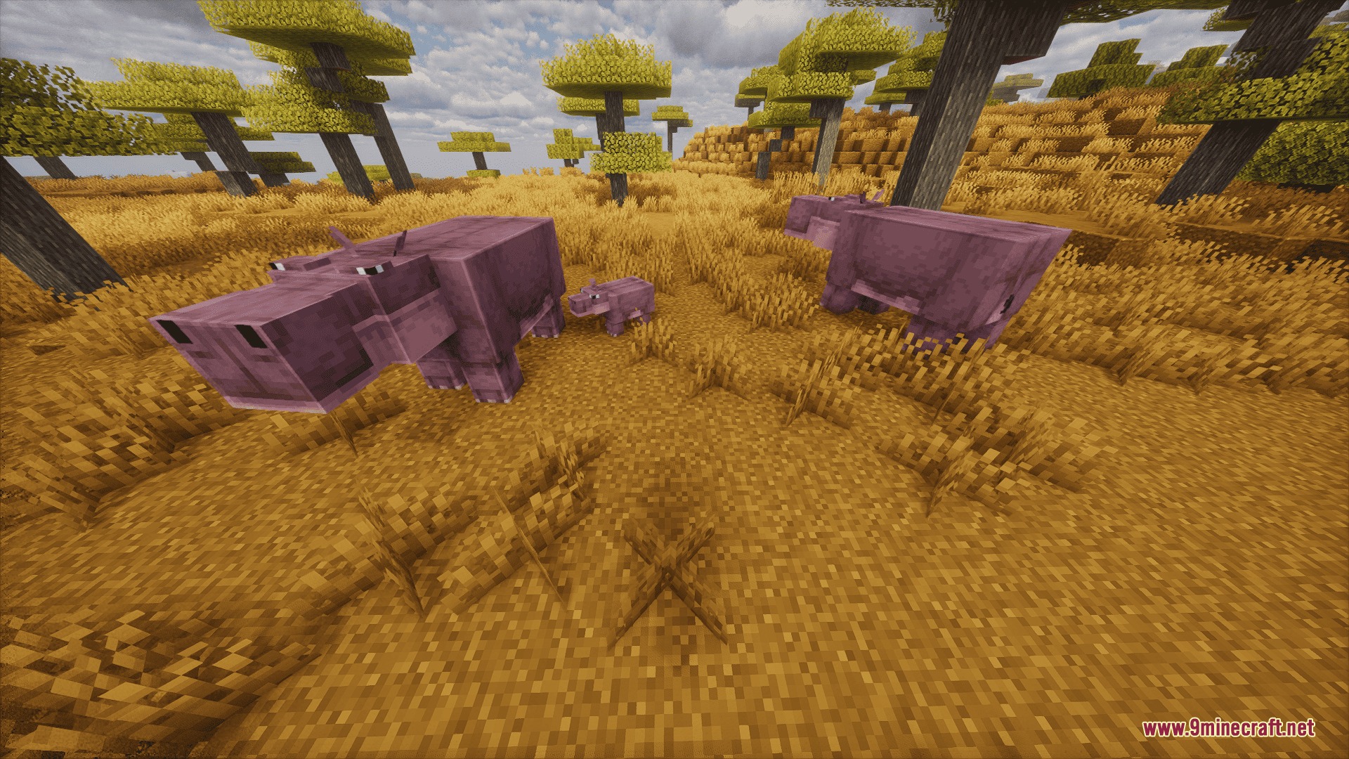 Animalia Exotica Mod Screenshot 6 A family of hippos including a baby wandering through the savanna biome