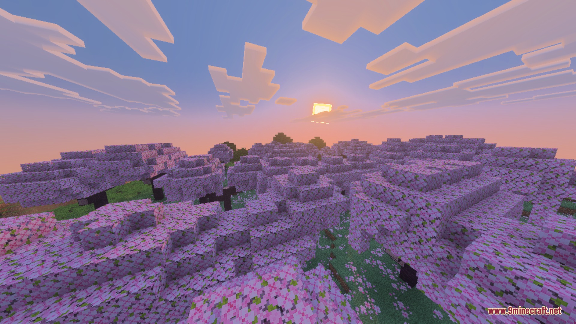 Aoffy Vibrant shader enhances a cherry blossom forest at sunset with realistic clouds