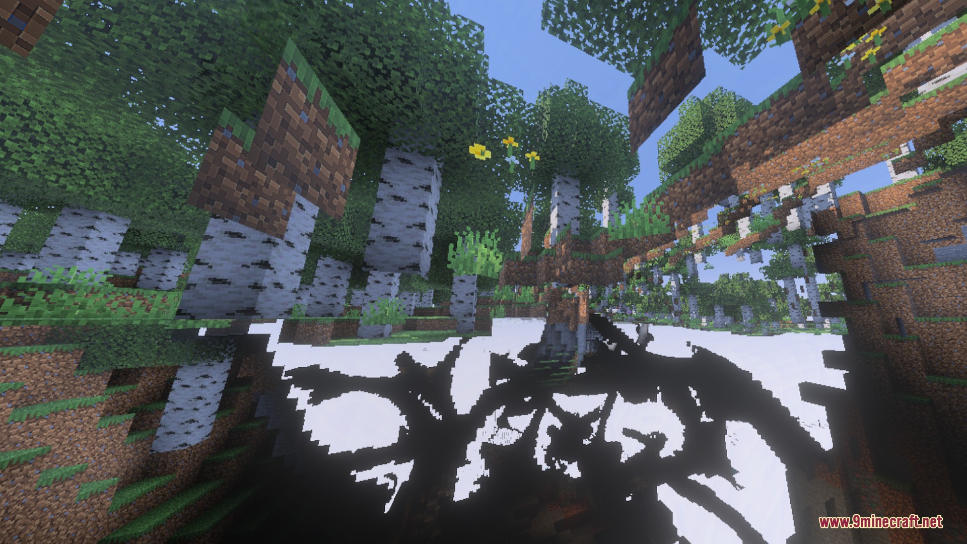 Birch forest landscape showing unique high contrast shadows and floating terrain blocks