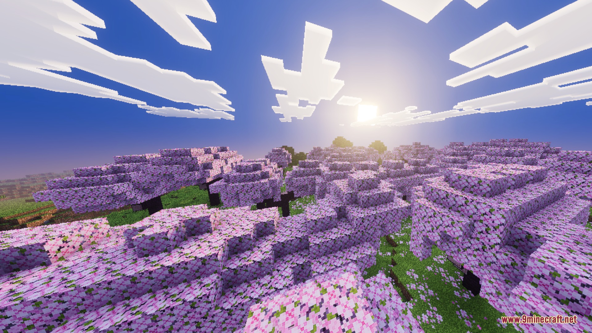 Apex Visuals Shader Screenshot 2 Beautiful cherry blossom forest with pink trees under a bright sunny sky