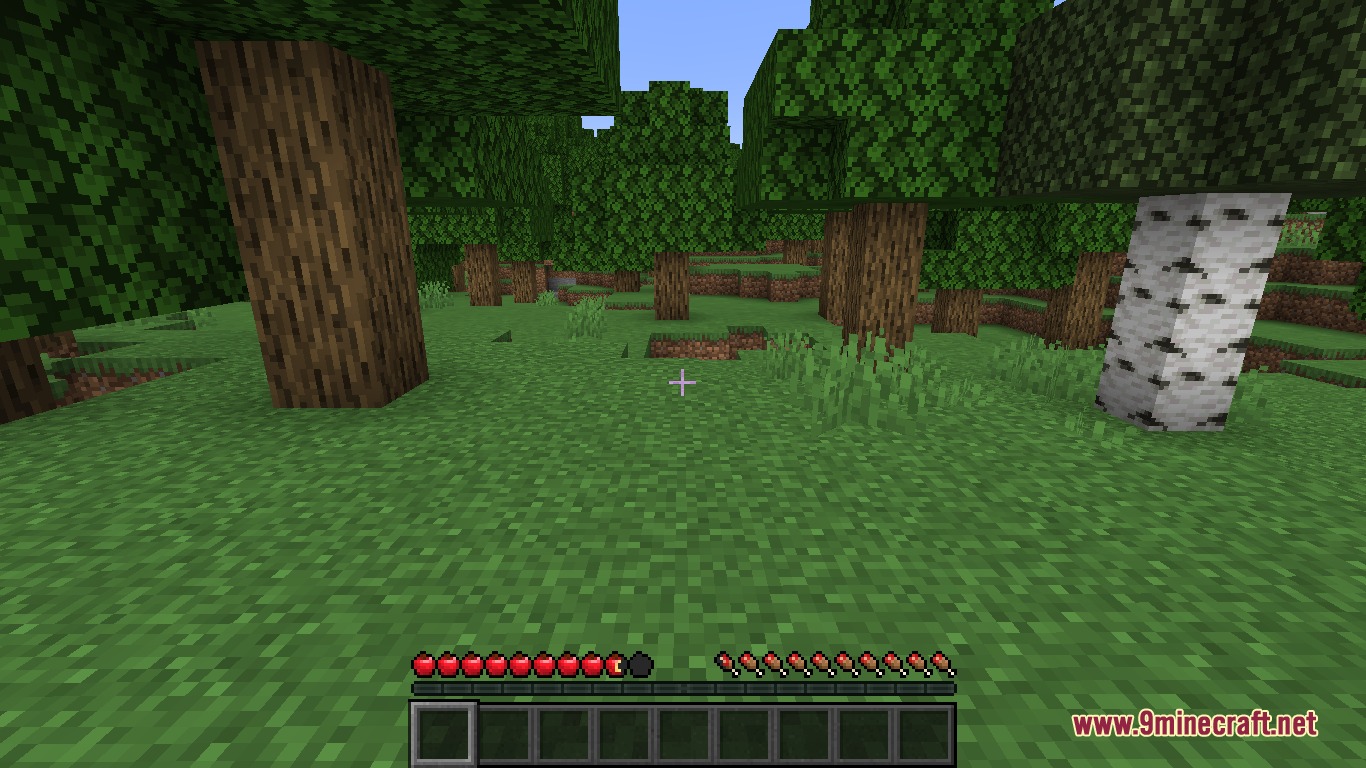 Red apple icons replace standard health hearts in a lush green Minecraft forest biome