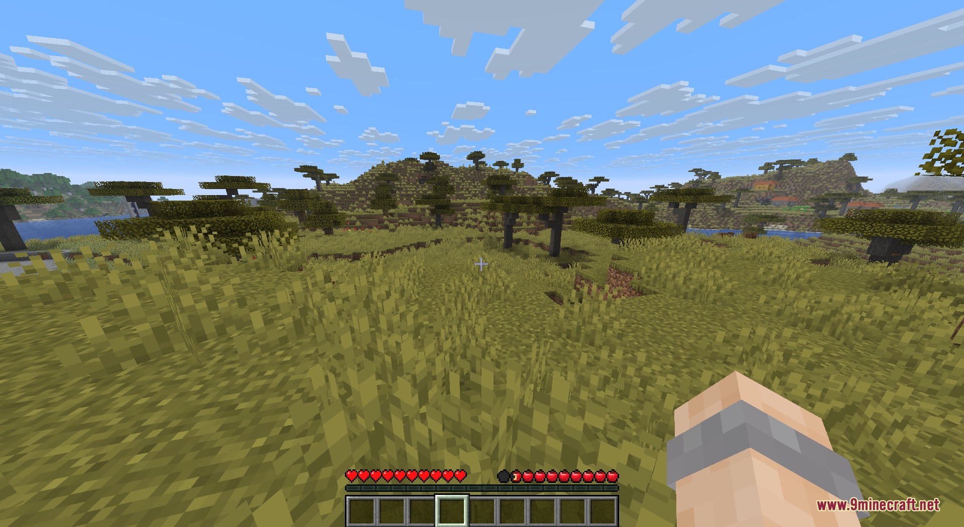 Apple Hunger Bar Resource Pack Screenshot 1 Apple Hunger Bar Resource Pack replaces meat shanks with small red apples