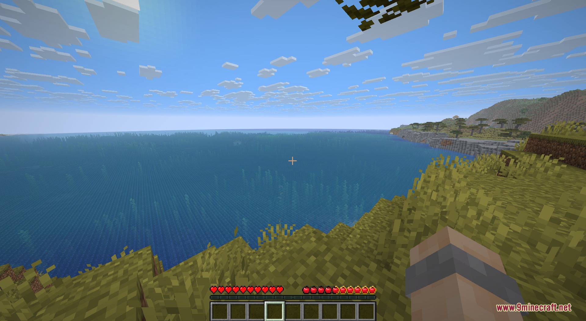 Apple Hunger Bar Resource Pack Screenshot 3 Apple Hunger Bar Resource Pack replaces meat shanks with small red apples