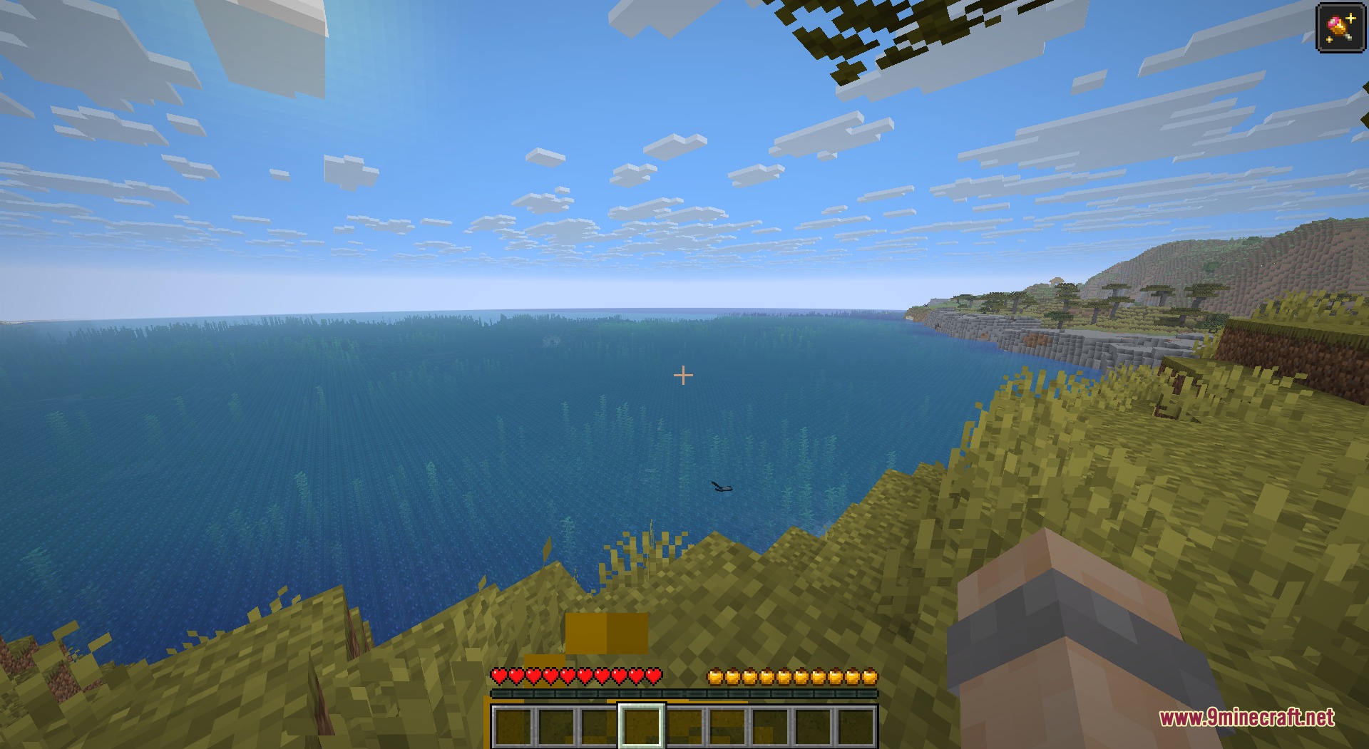 Apple Hunger Bar Resource Pack Screenshot 5 Minecraft player looking at the ocean with a custom apple hunger bar