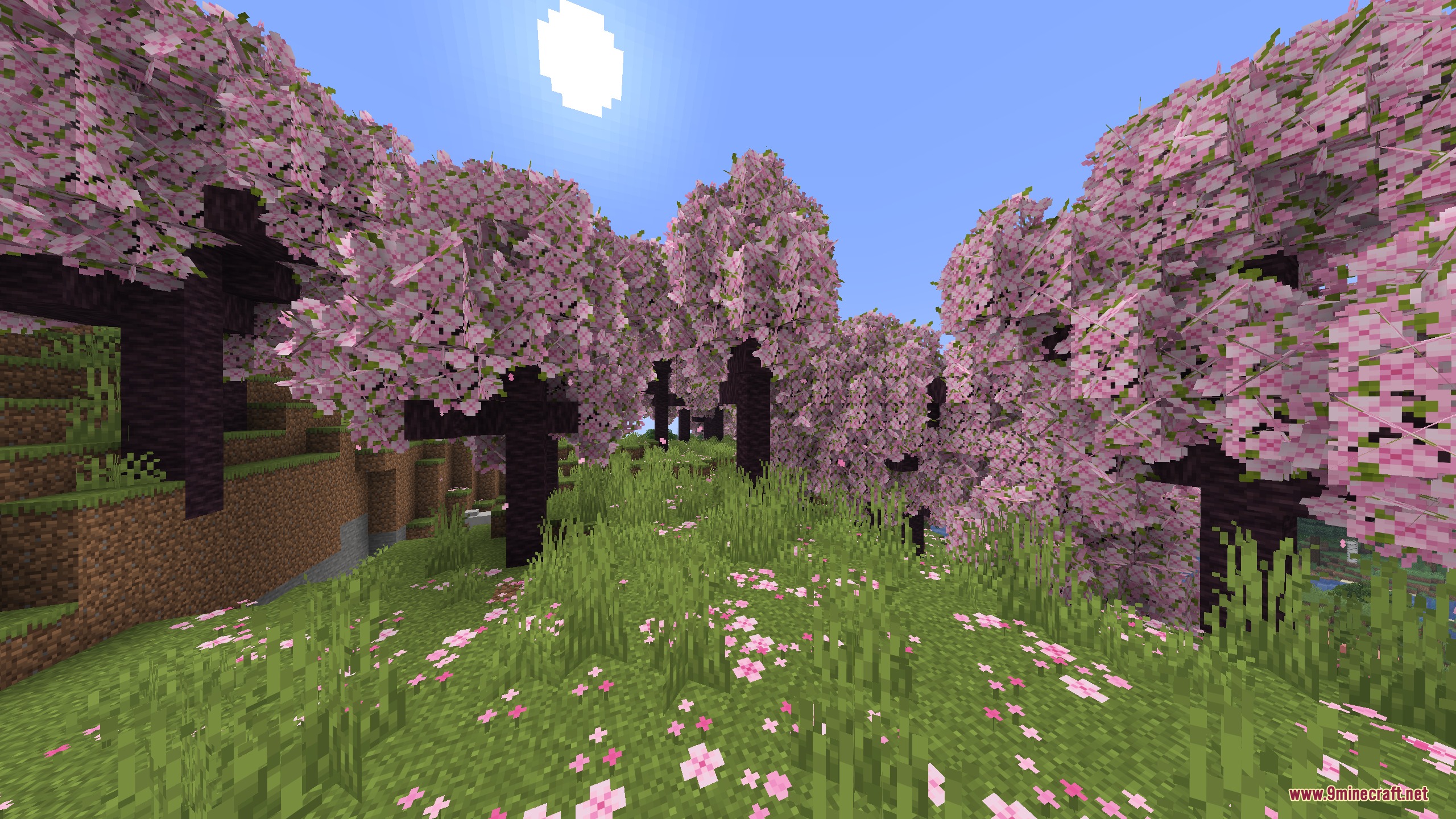 Artemis Better Biomes Mod Screenshot 2 A vibrant cherry grove biome filled with pink flowering trees and green grass