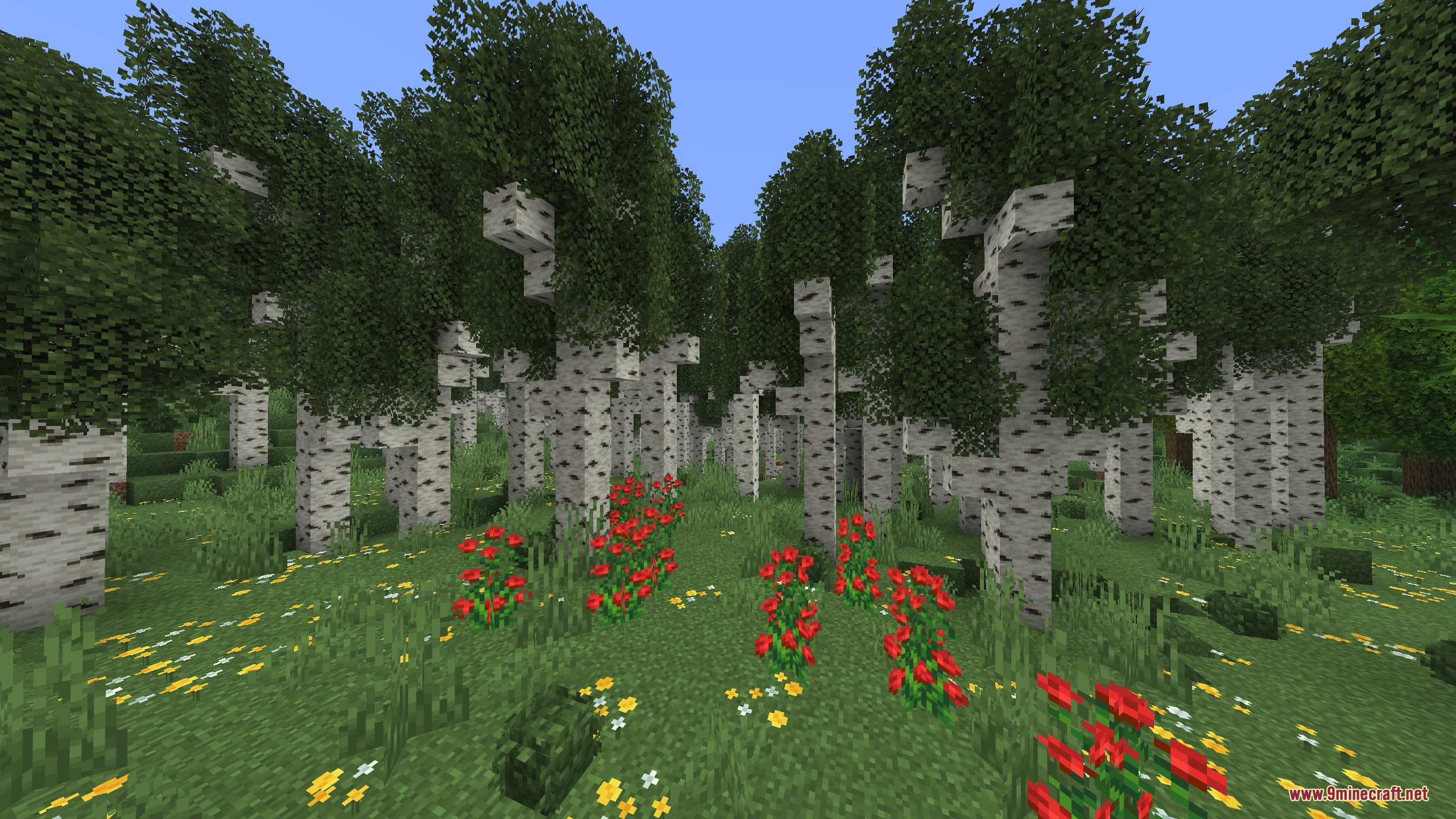 Artemis Better Biomes Mod Screenshot 3 Tall birch trees stand in a lush forest filled with red and yellow flowers