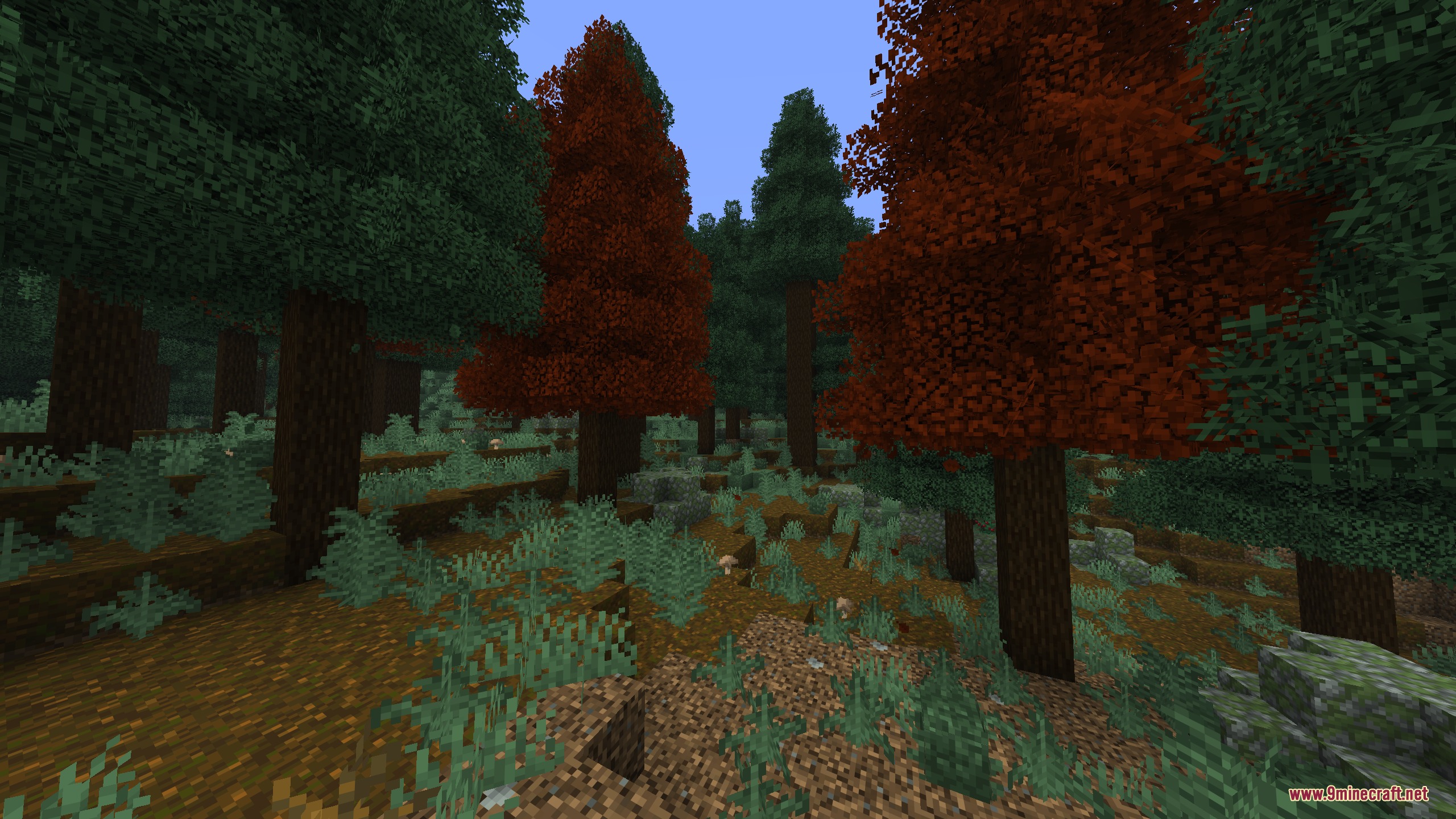 Artemis Better Biomes Mod Screenshot 5 Tall trees with red and green leaves in a lush forest biome
