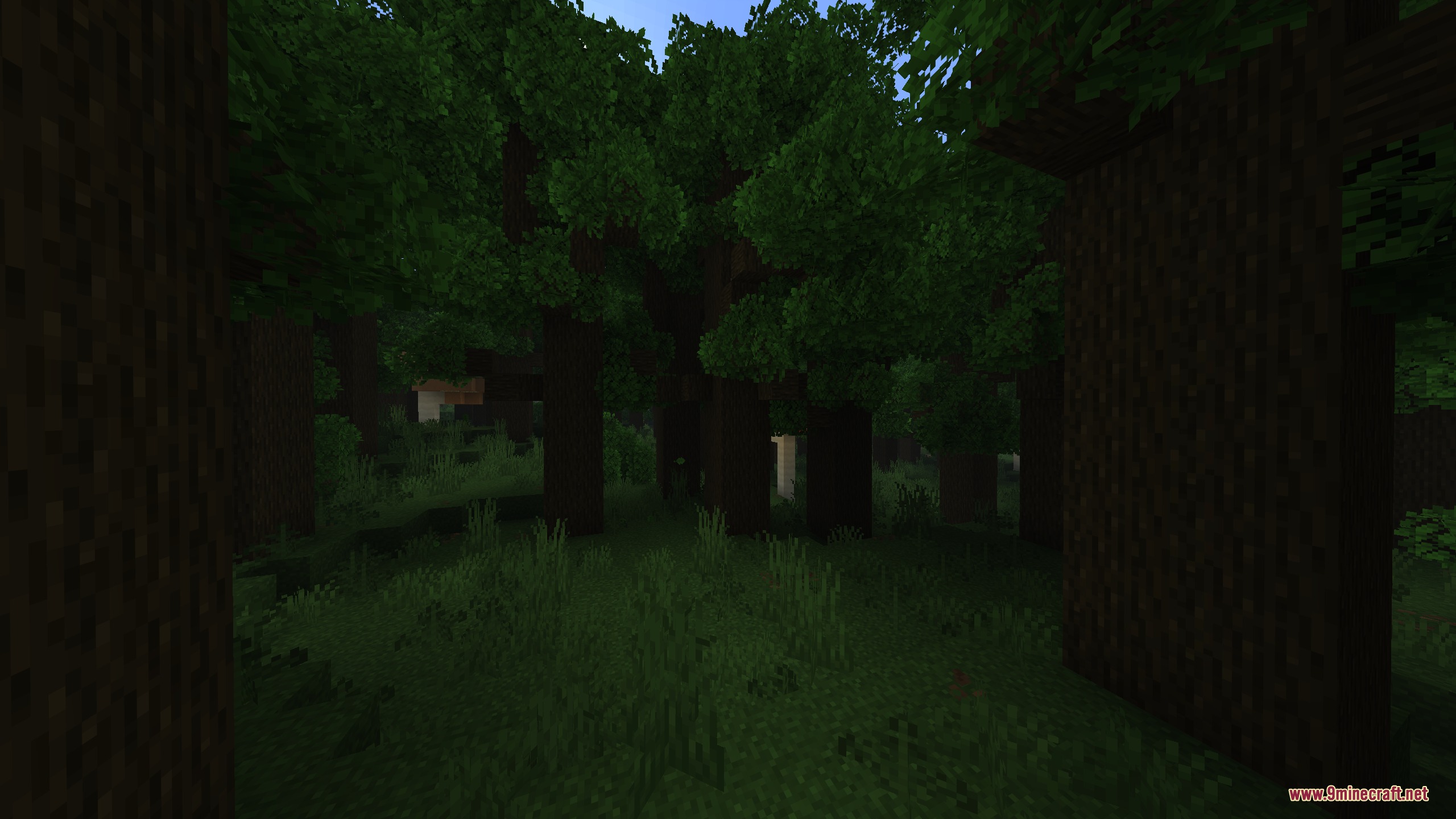 Artemis Better Biomes Mod Screenshot 6 Thick forest with tall trees and a dense green leaf canopy