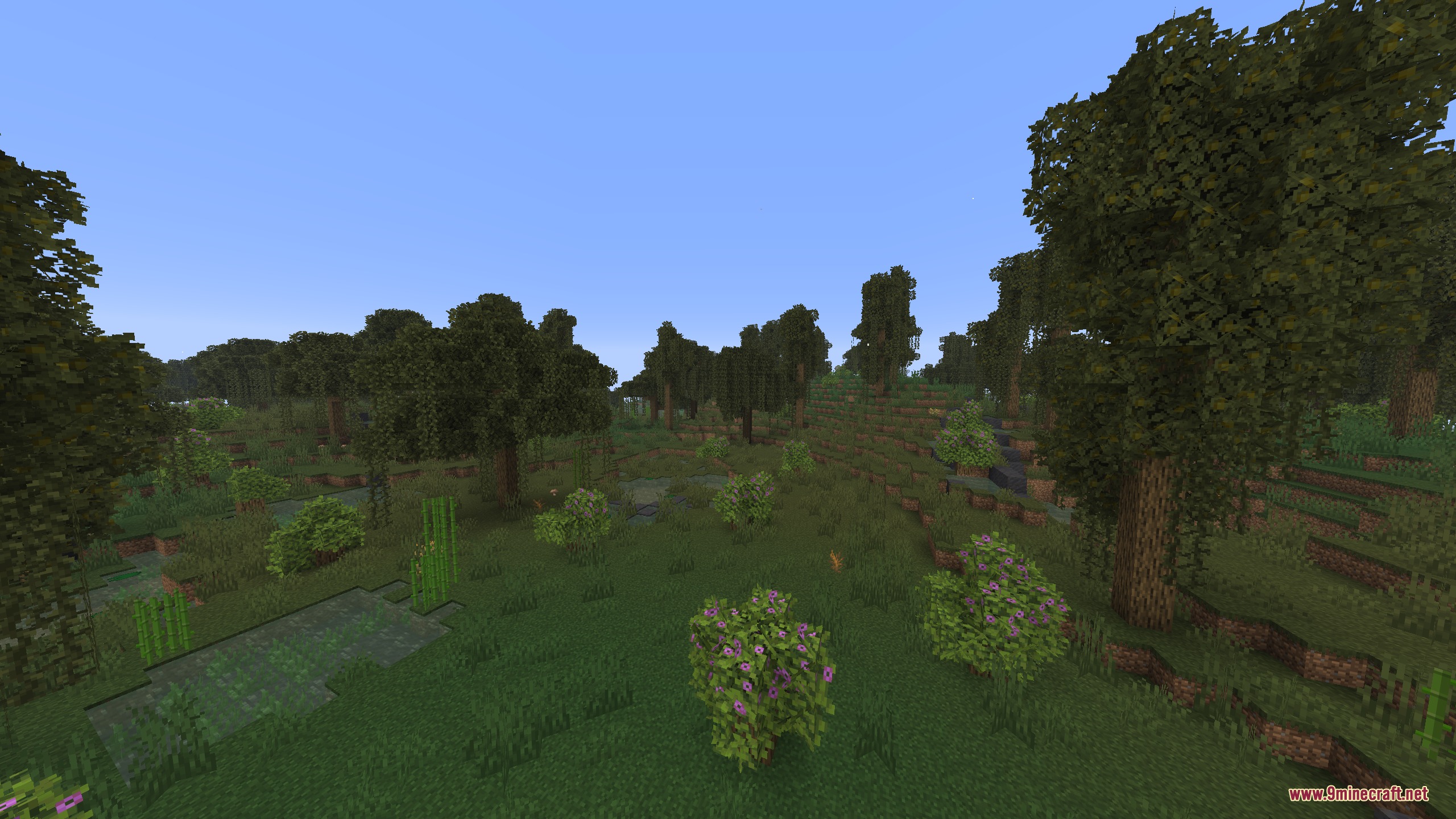 Artemis Better Biomes Mod Screenshot 7 Lush green swamp biome with tall trees and flowering bushes under clear skies