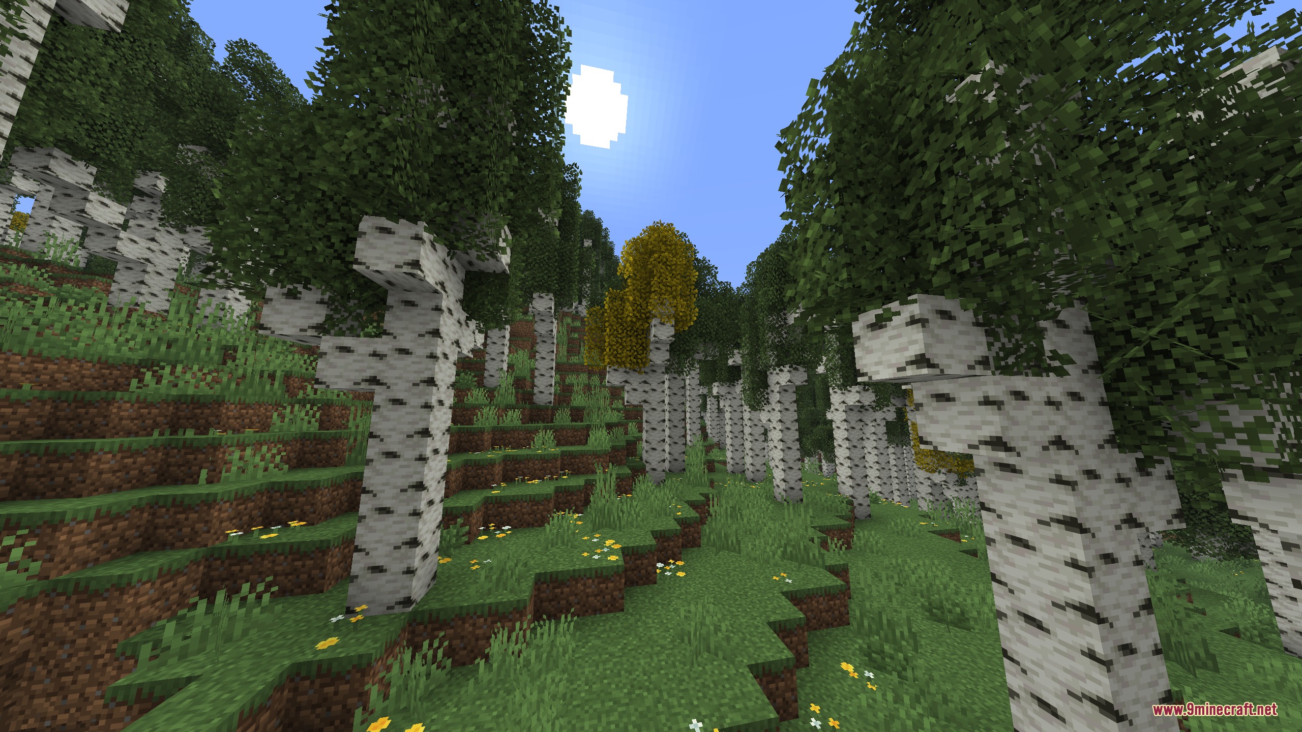 Artemis Better Biomes Mod Screenshot 8 Tall birch trees growing on a grassy hill under a bright sunny sky